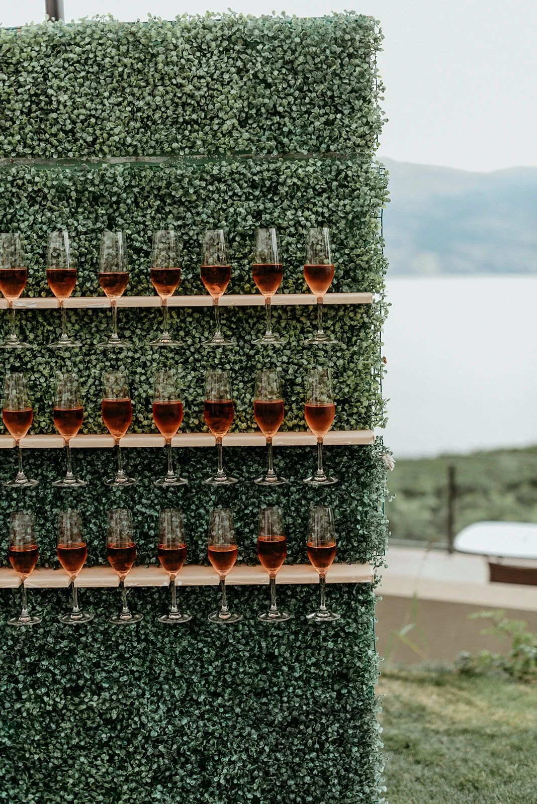 Tara Peach Photography