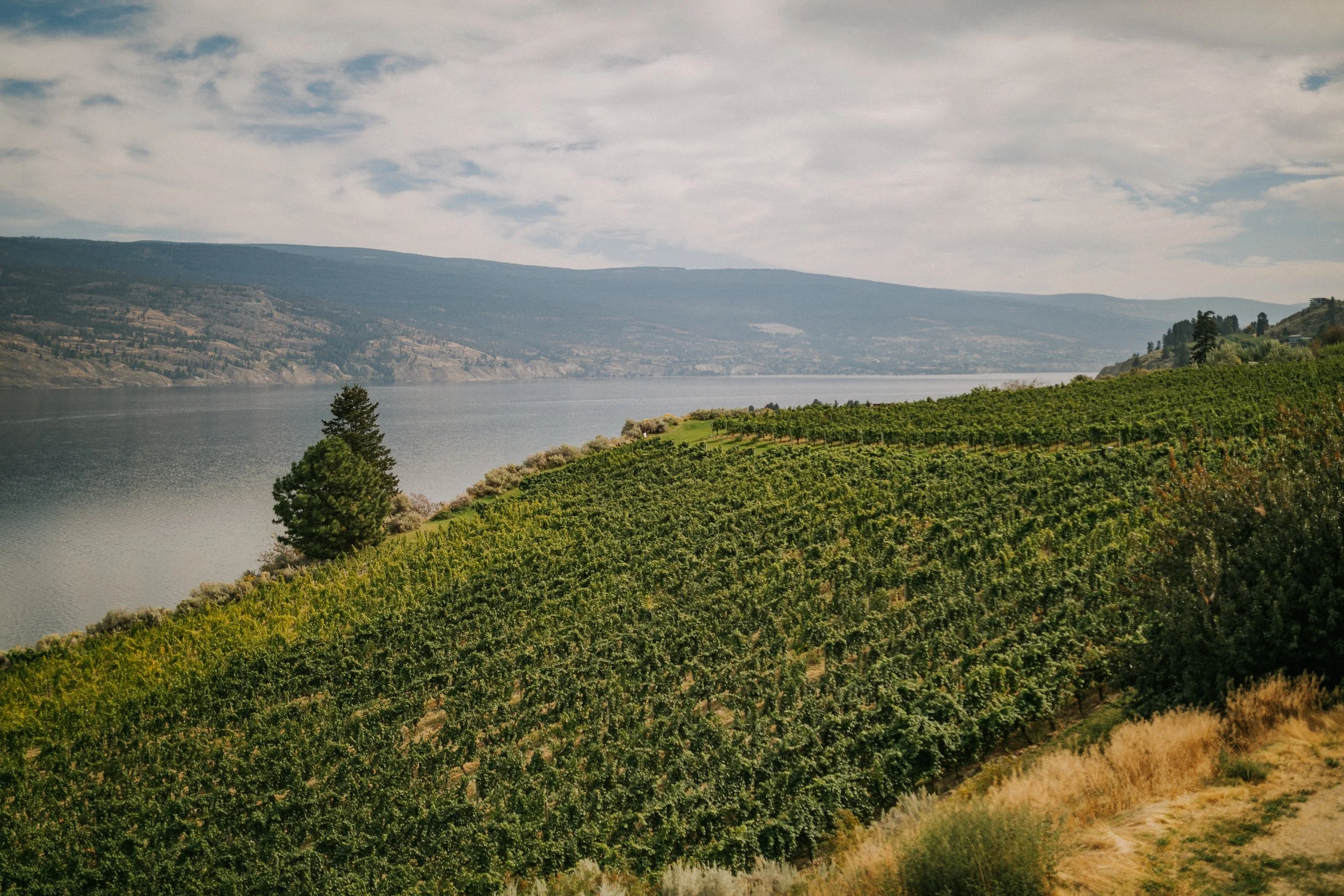 Justine Russo Photography