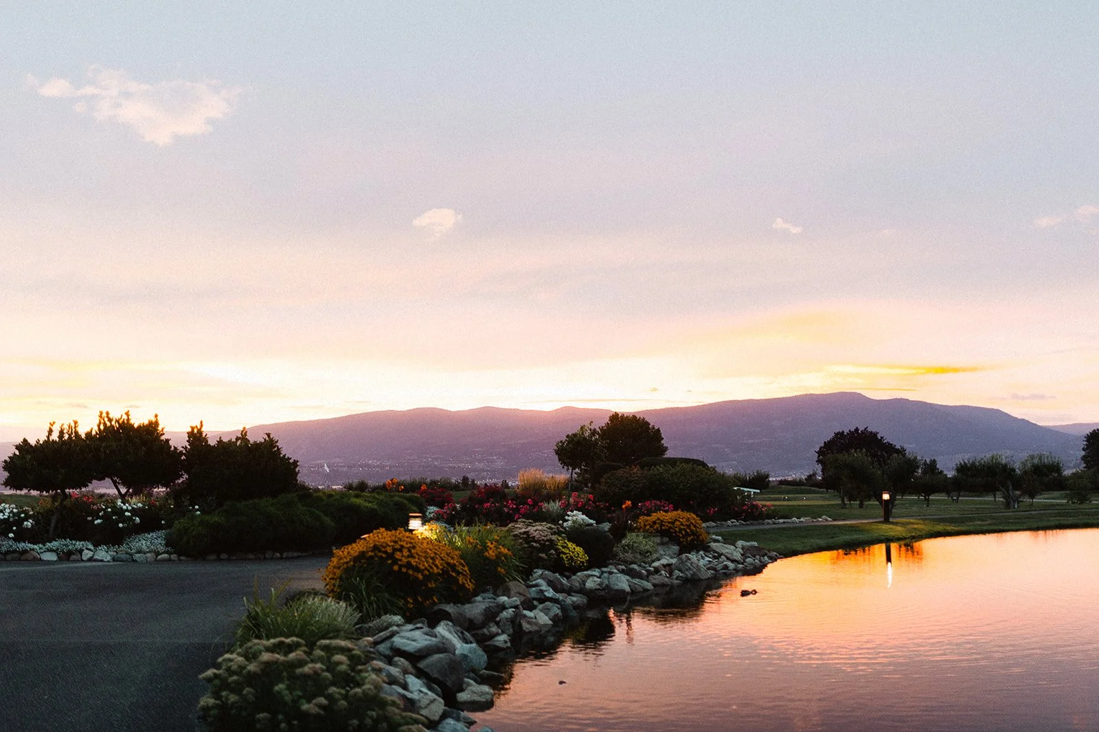 Tara Peach Photography