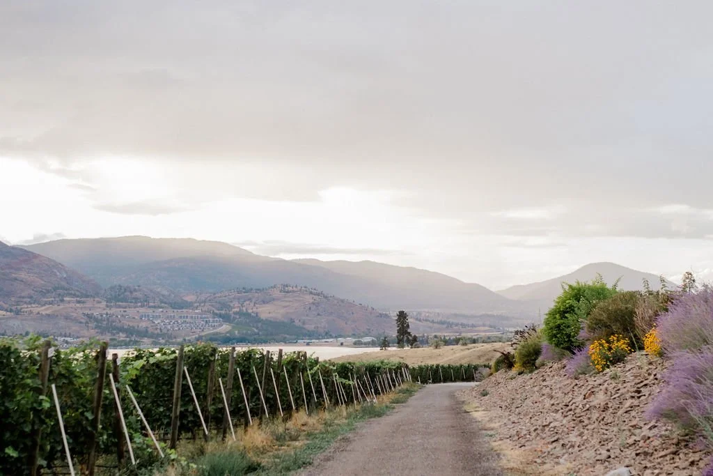 Melissa Hartmann Photography