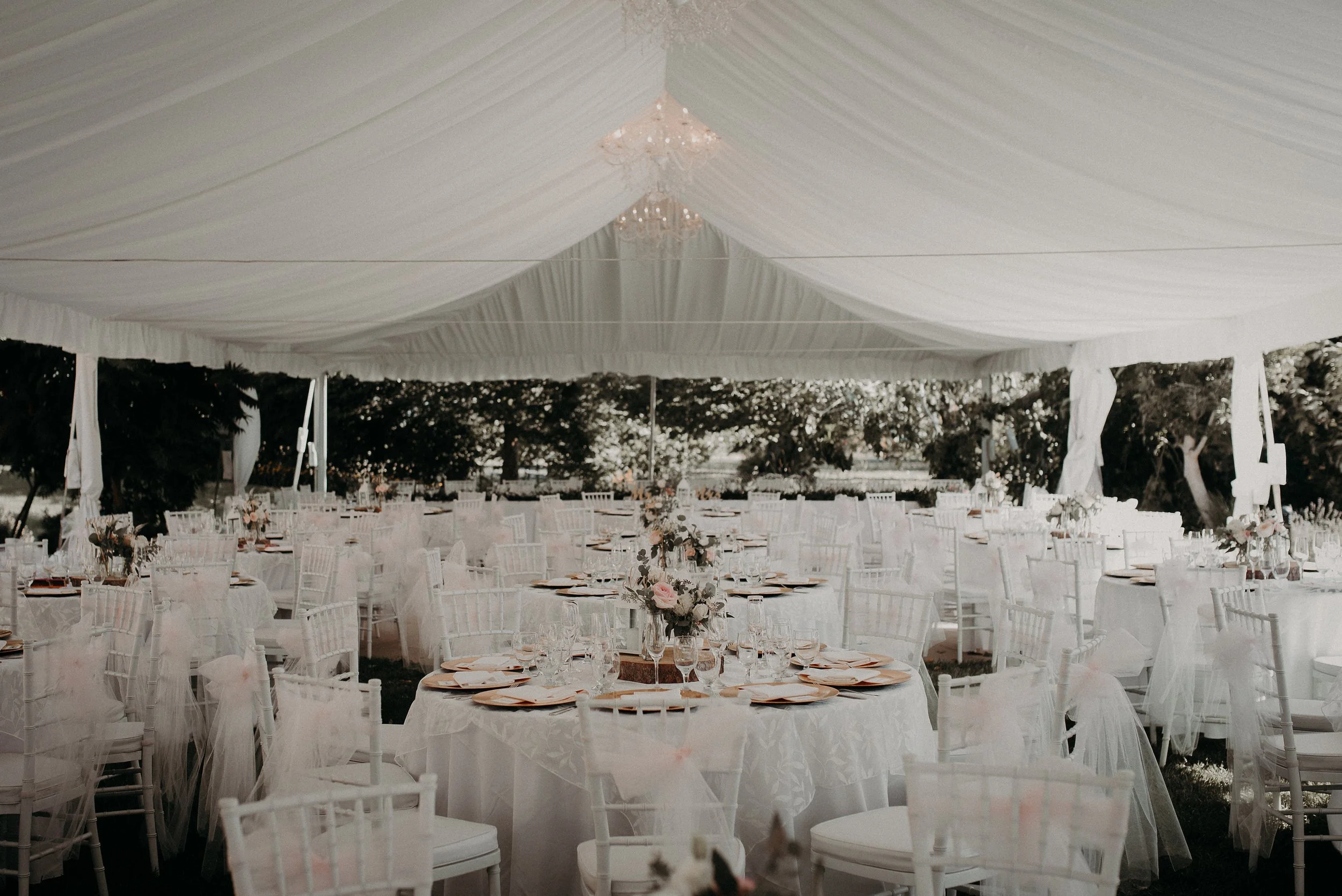 Neil Slattery Photography