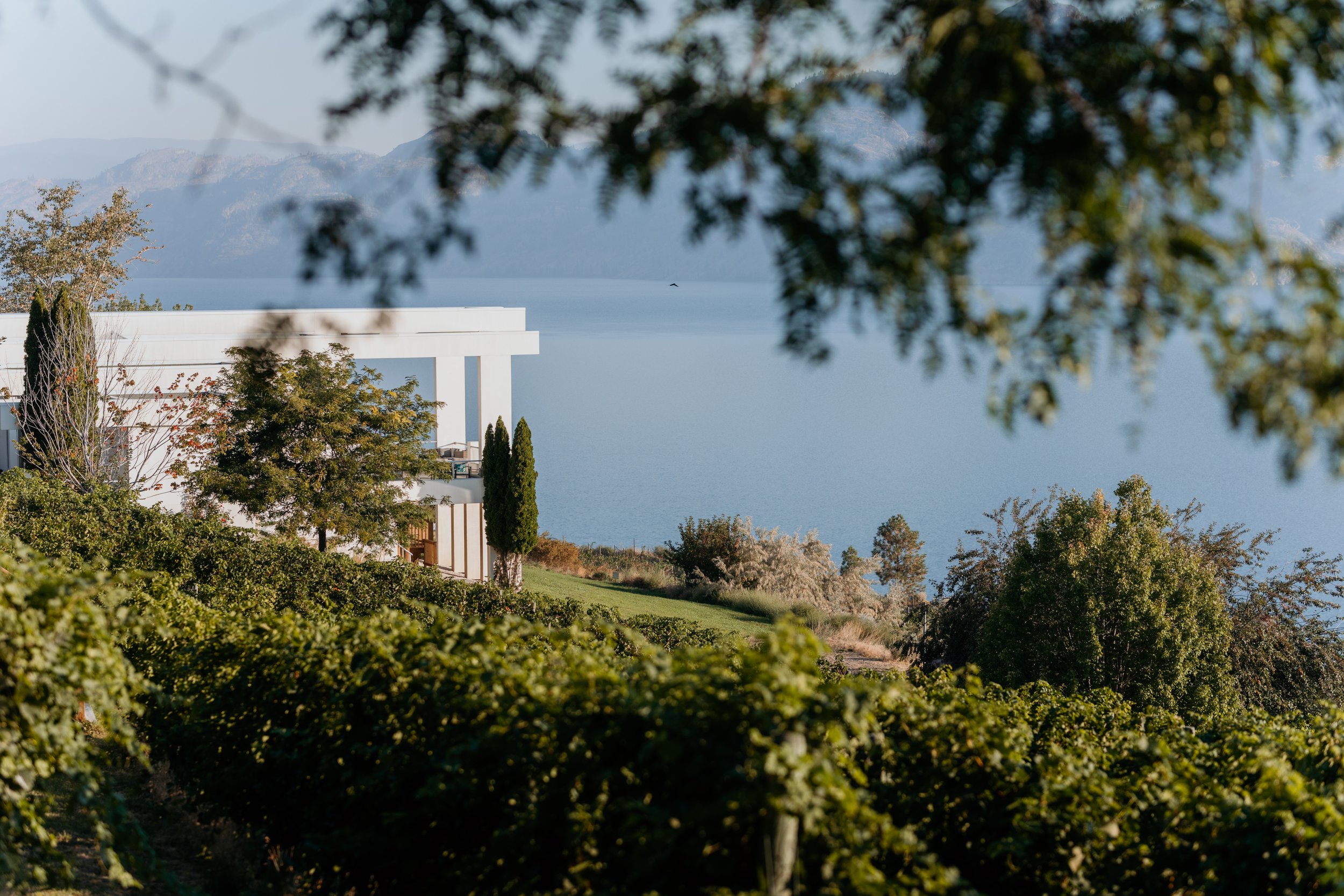 Neil Slattery Photography