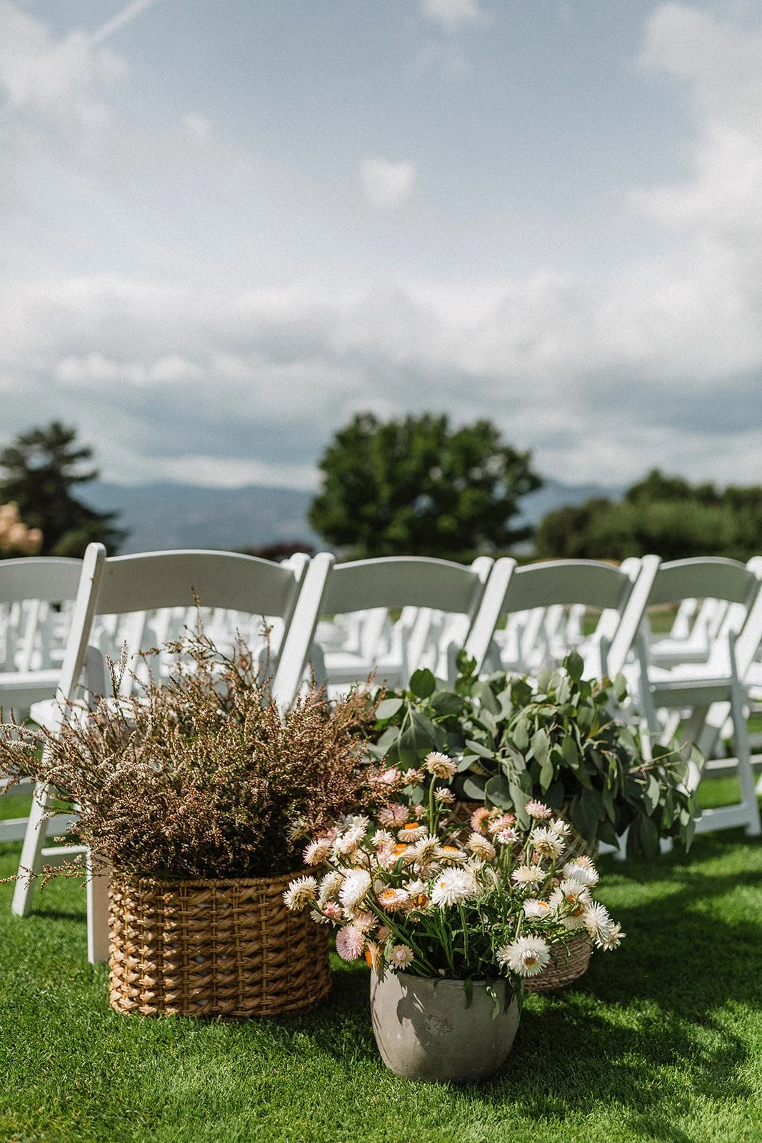 Tara Peach Photography