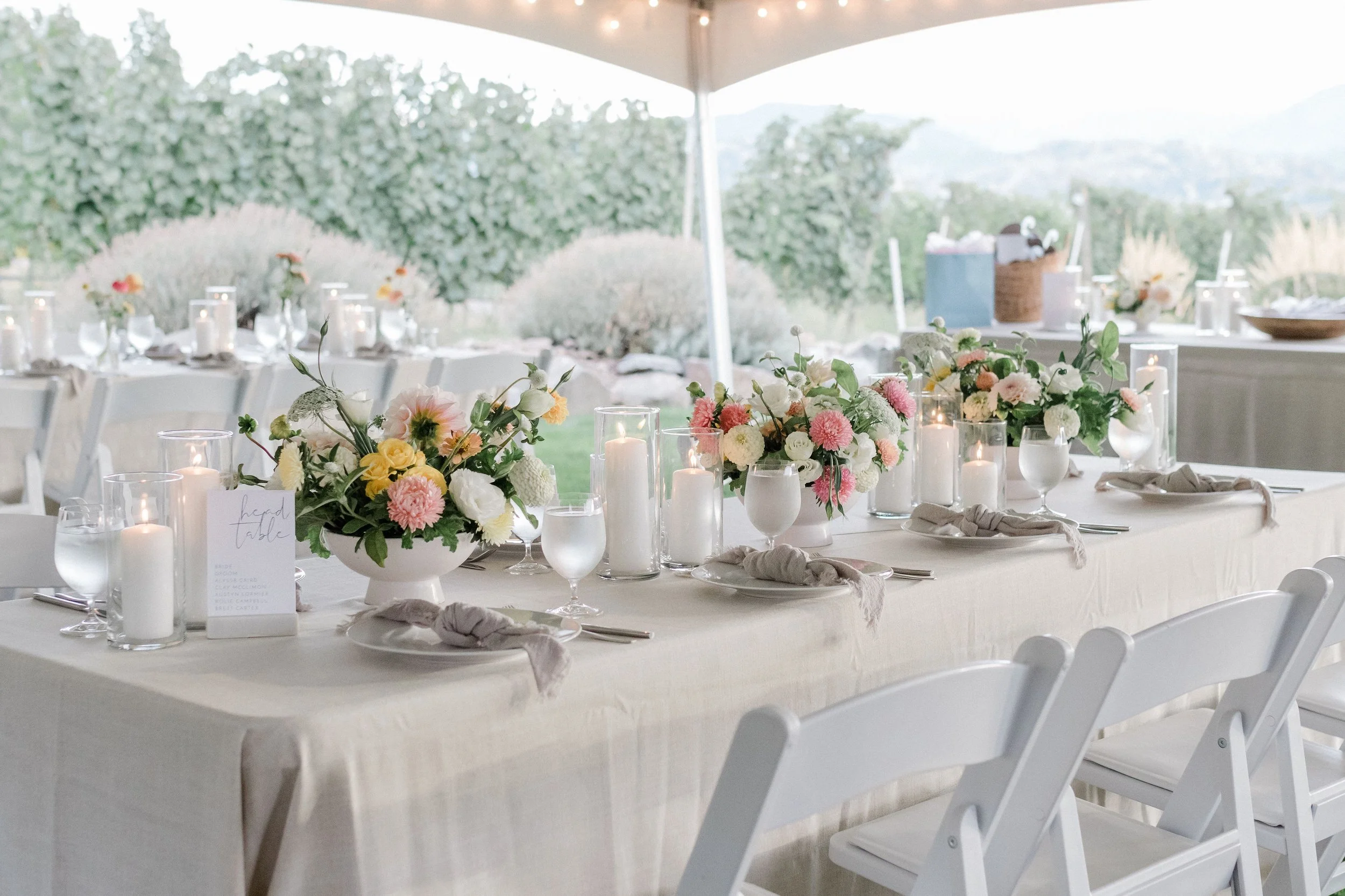 Melissa Hartmann Photography