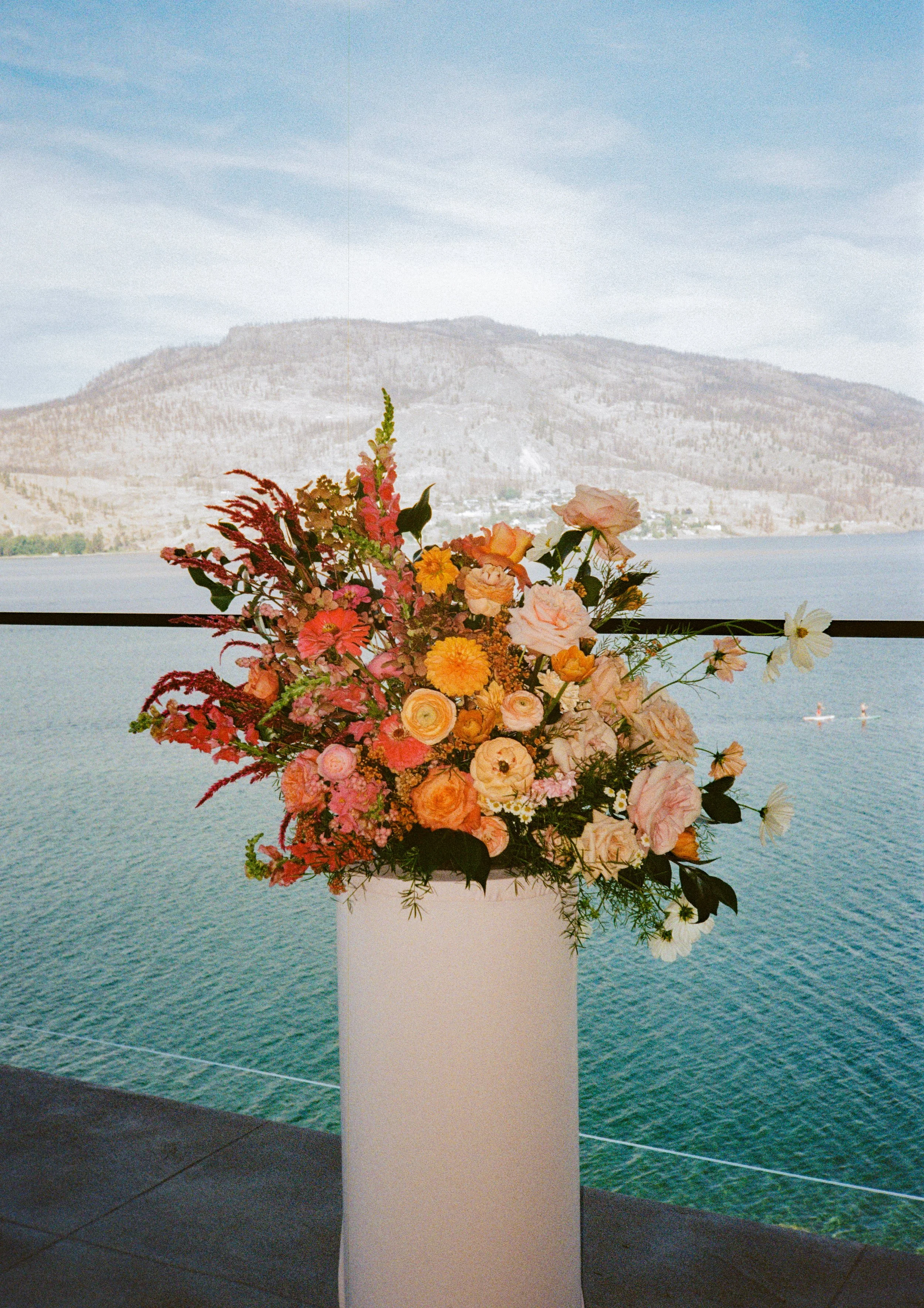 Danae Marie Photography