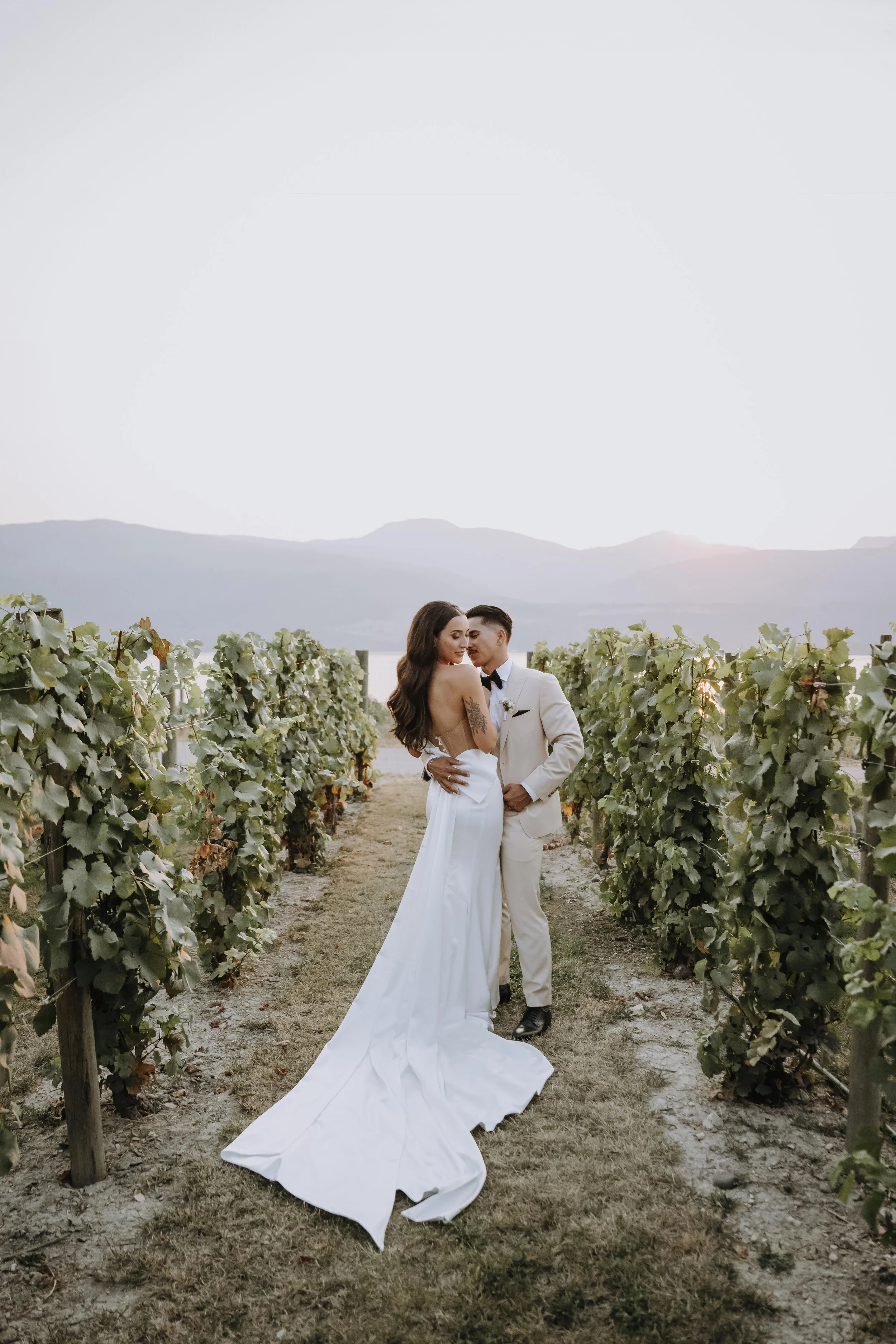 A bride and groom embrace in a vineyard at sunset, with mountains in the background.