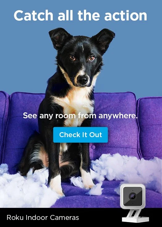 DGM_OnDevice_Q3_AspenAwareness_IndoorCam_NativeAd_525x735.jpg