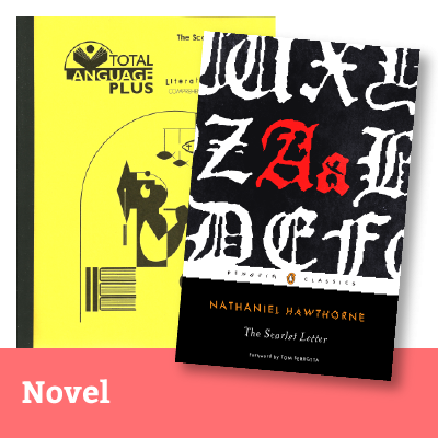 The Scarlet Letter Graphic Novel Study Guide (Digital Download), Saddleback Educational Publishing