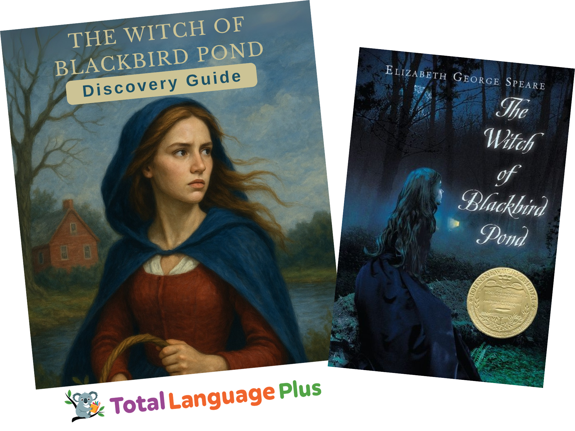 Witch of Blackbird Pond (The) Pack
