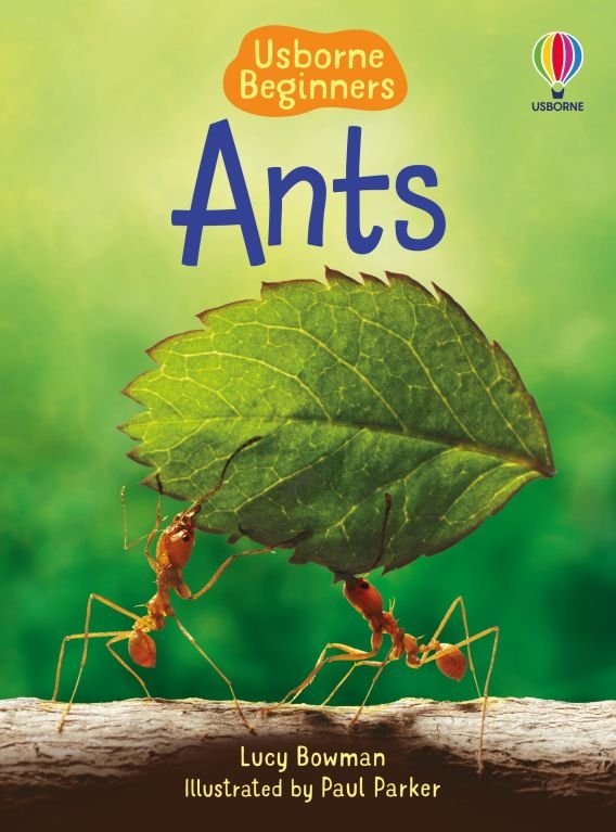 Ants (Usborne Beginners)
