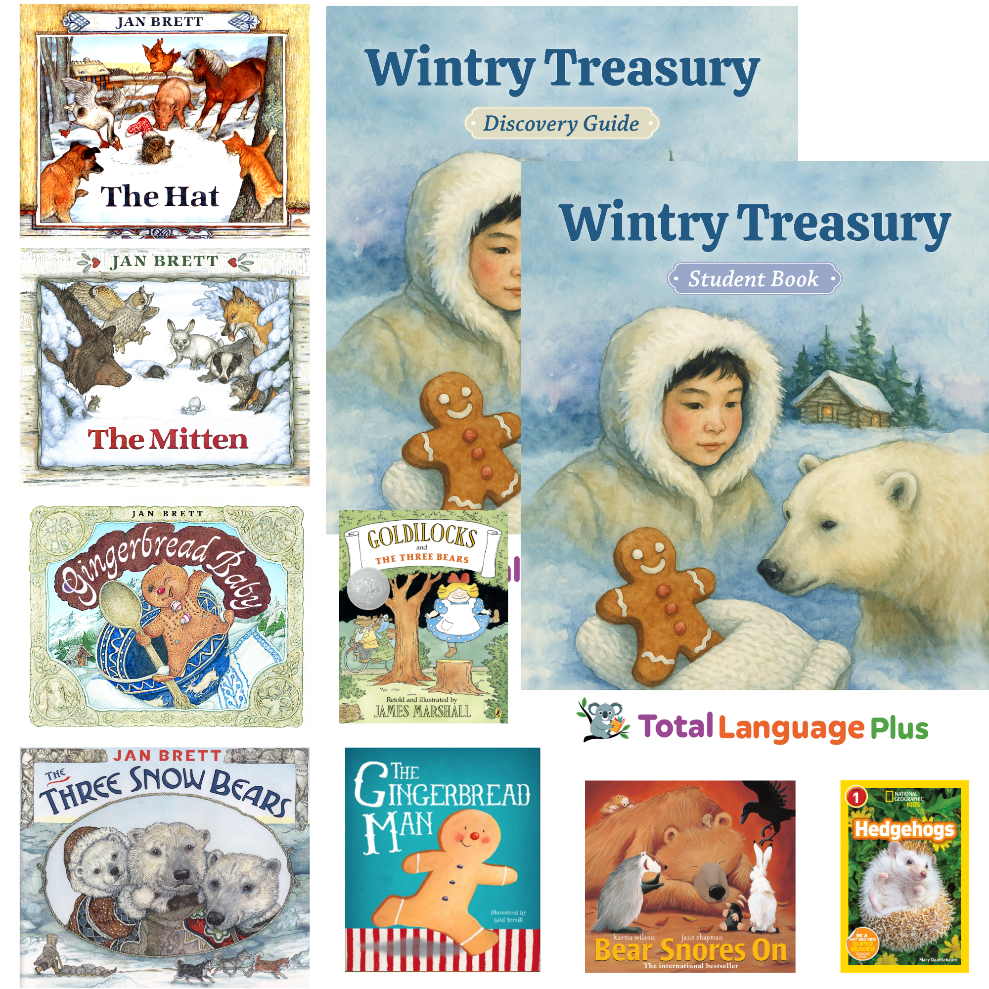 Wintry Treasury Pack.png