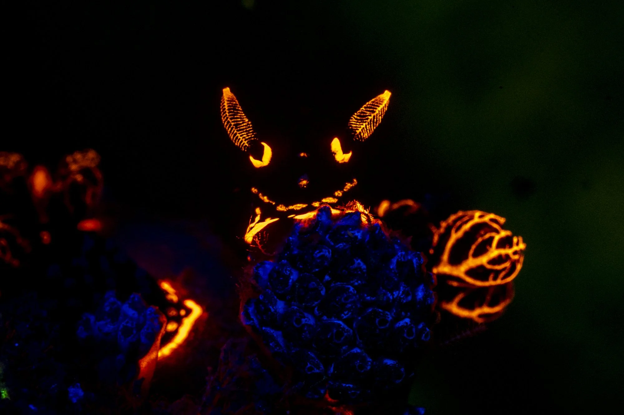 Close-up of a glowing decorative object resembling a demonic or devil figure, illuminated in orange and yellow light against a dark background.