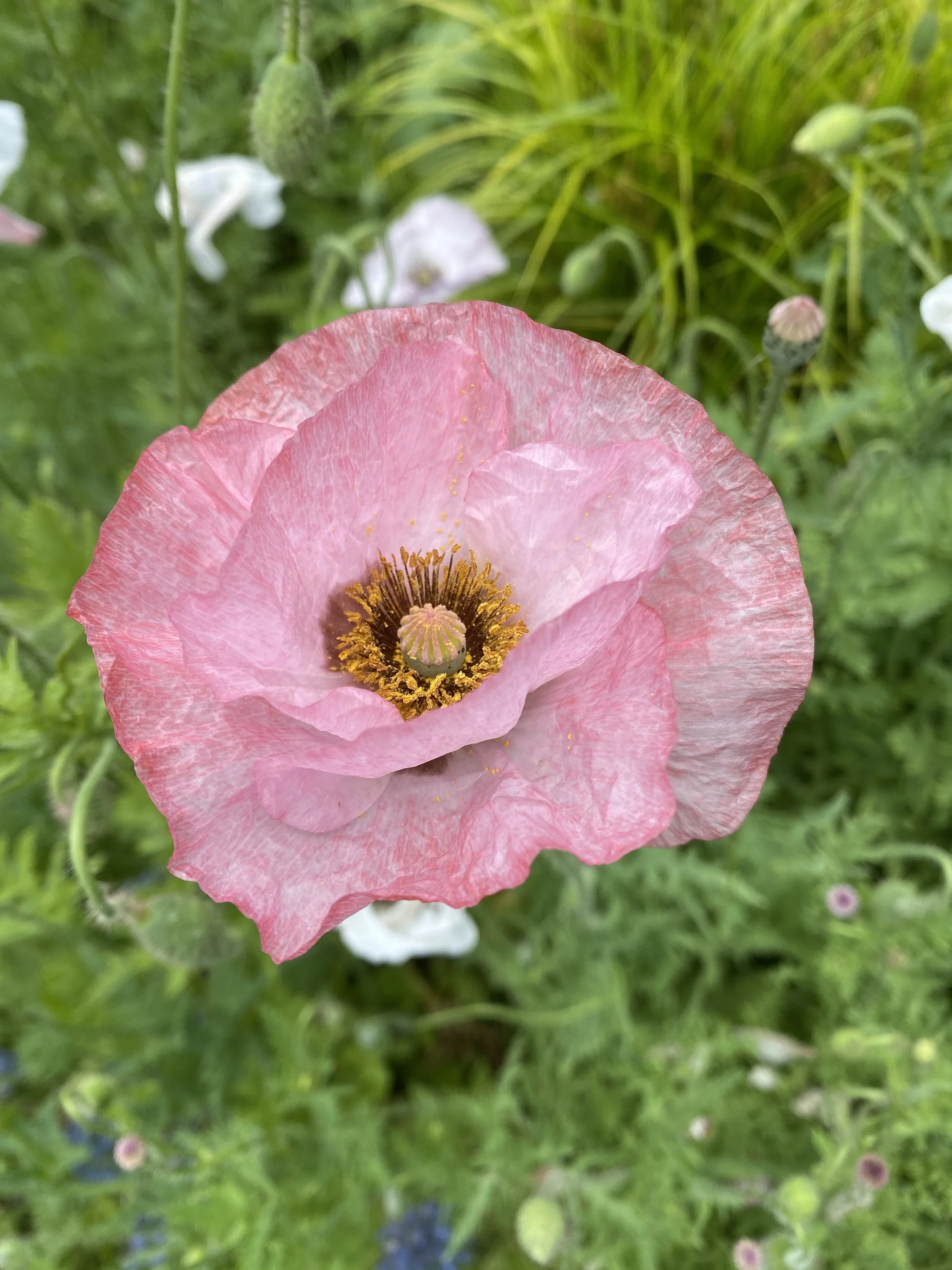 In a Moment - Issue 1