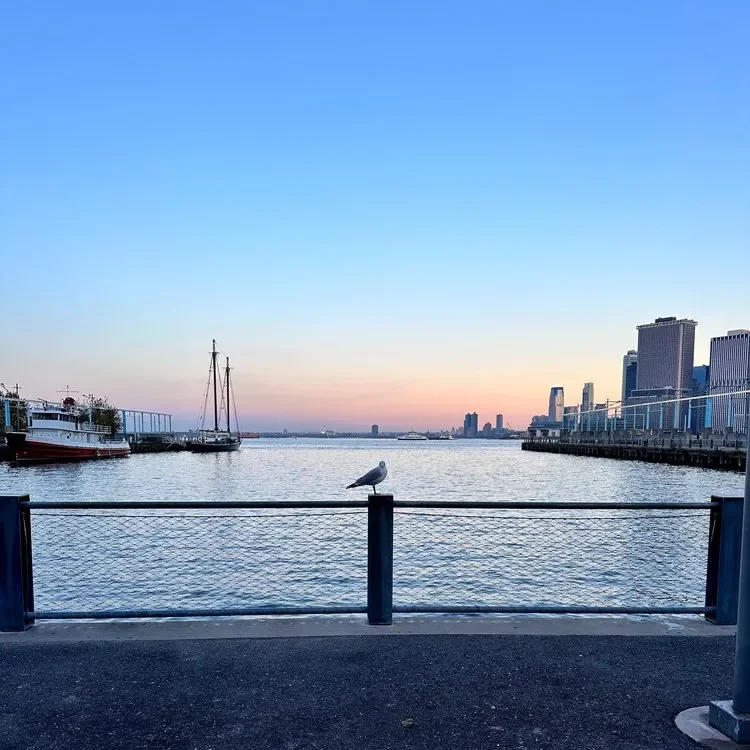 Seagull perched on a fence near water. The sky is a gradient of pink, yellow, orange and blue. Buildings visible and a small tugboat.