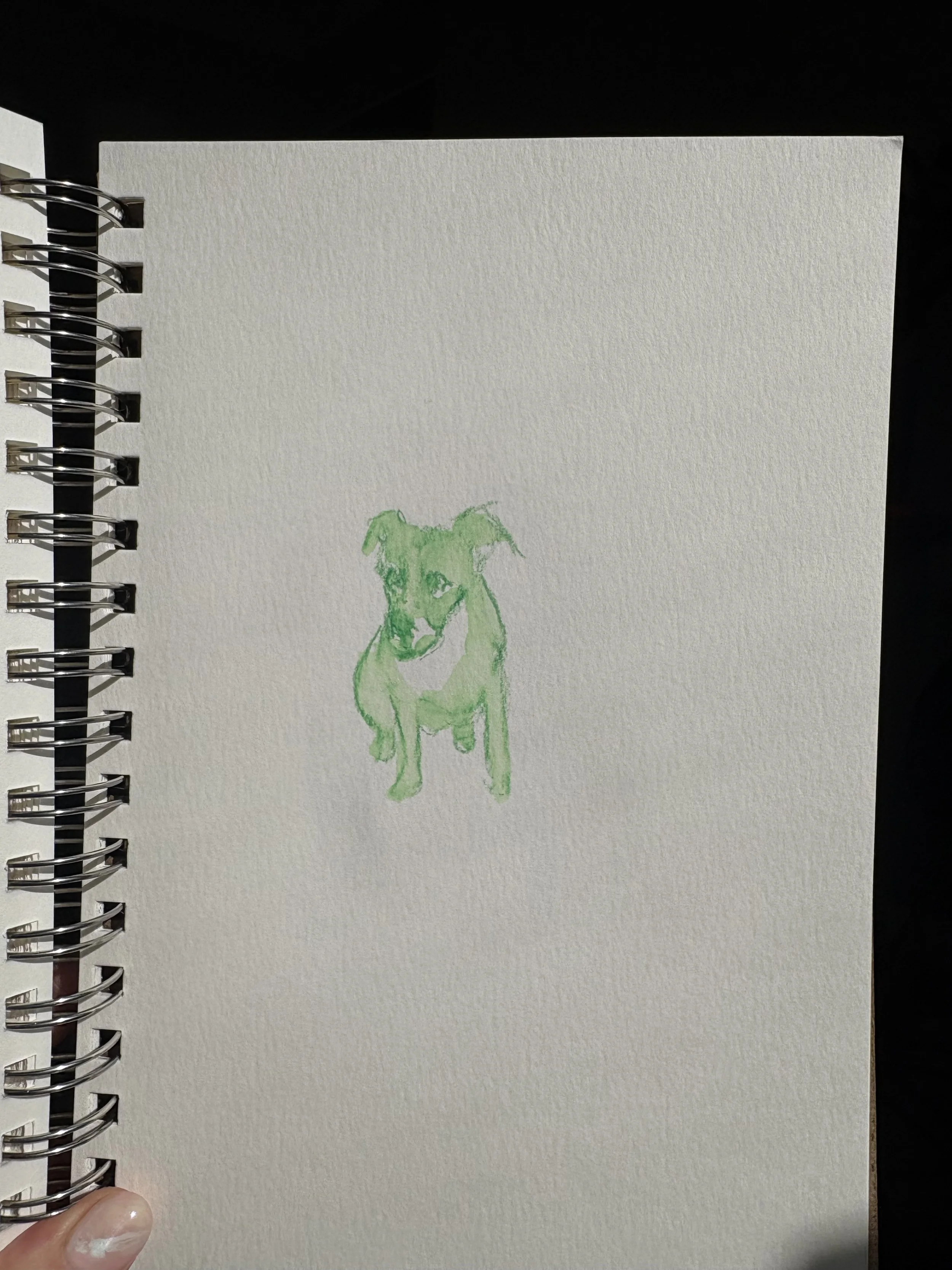 Mysterypup_426.jpg