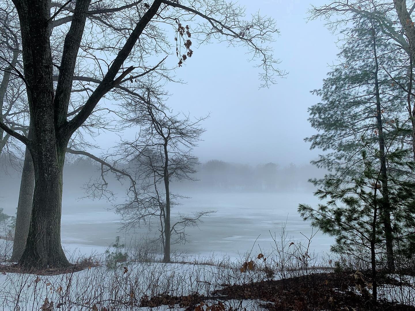 continuing the path of softening edges &mdash;
diving into my own deepest mysteries
dissolving boundaries between me and the sacred other
intuition be my guide
every step a prayer
seeing beauty in the smallest things
dreaming awake.

#fog #winter #me