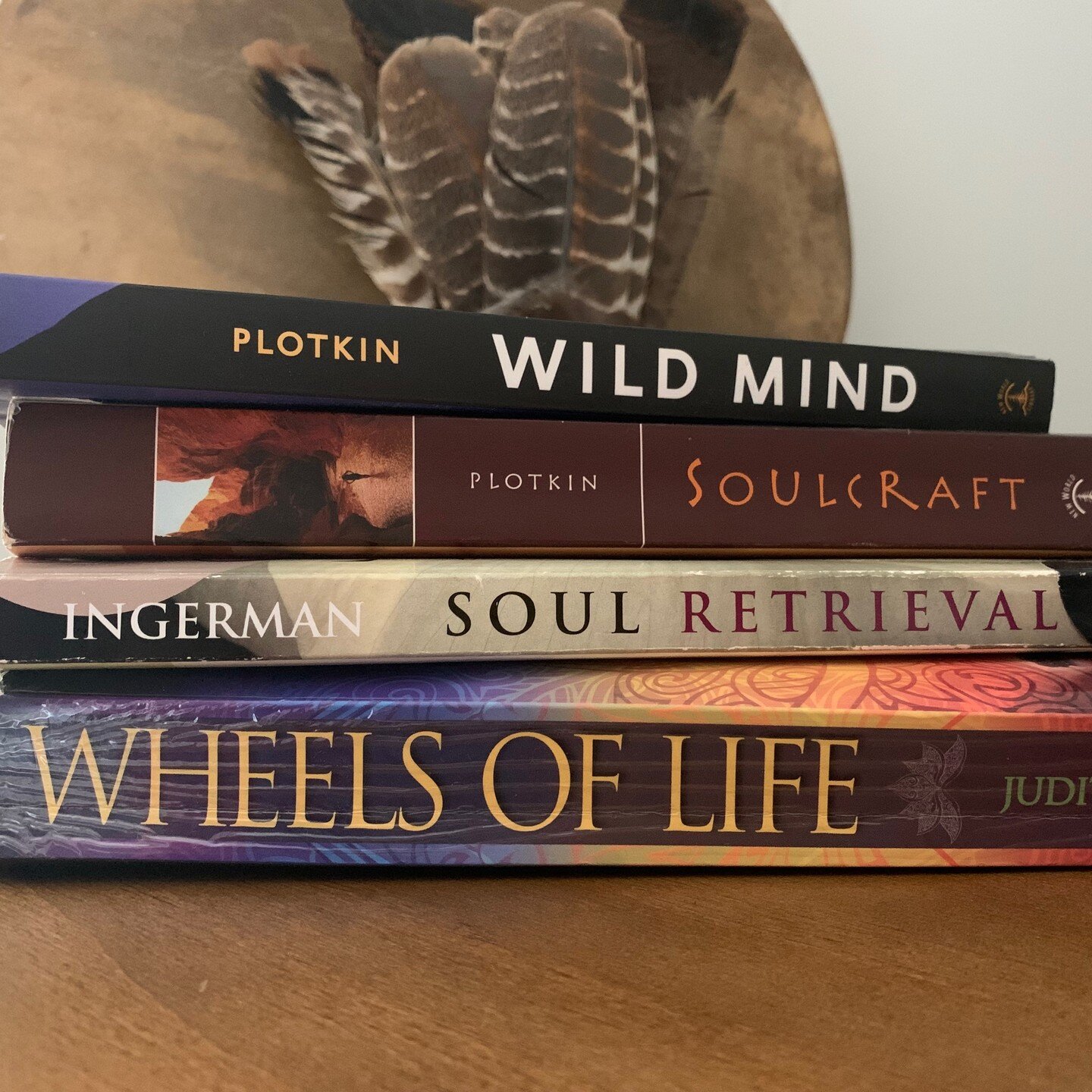 Some of my favorite guide books for getting to the root of old patterns.

When illness or challenges come, when shift happens - we tend to treat the symptoms rather than investigating the root cause. We tend to shy away.

Have you ever wondered -
Whe