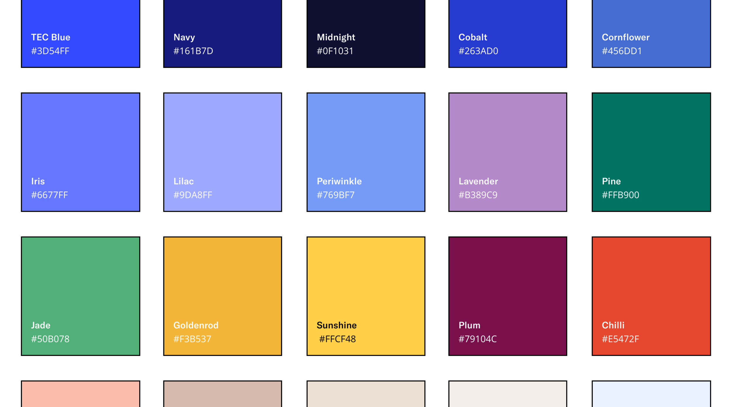 Brand color palette