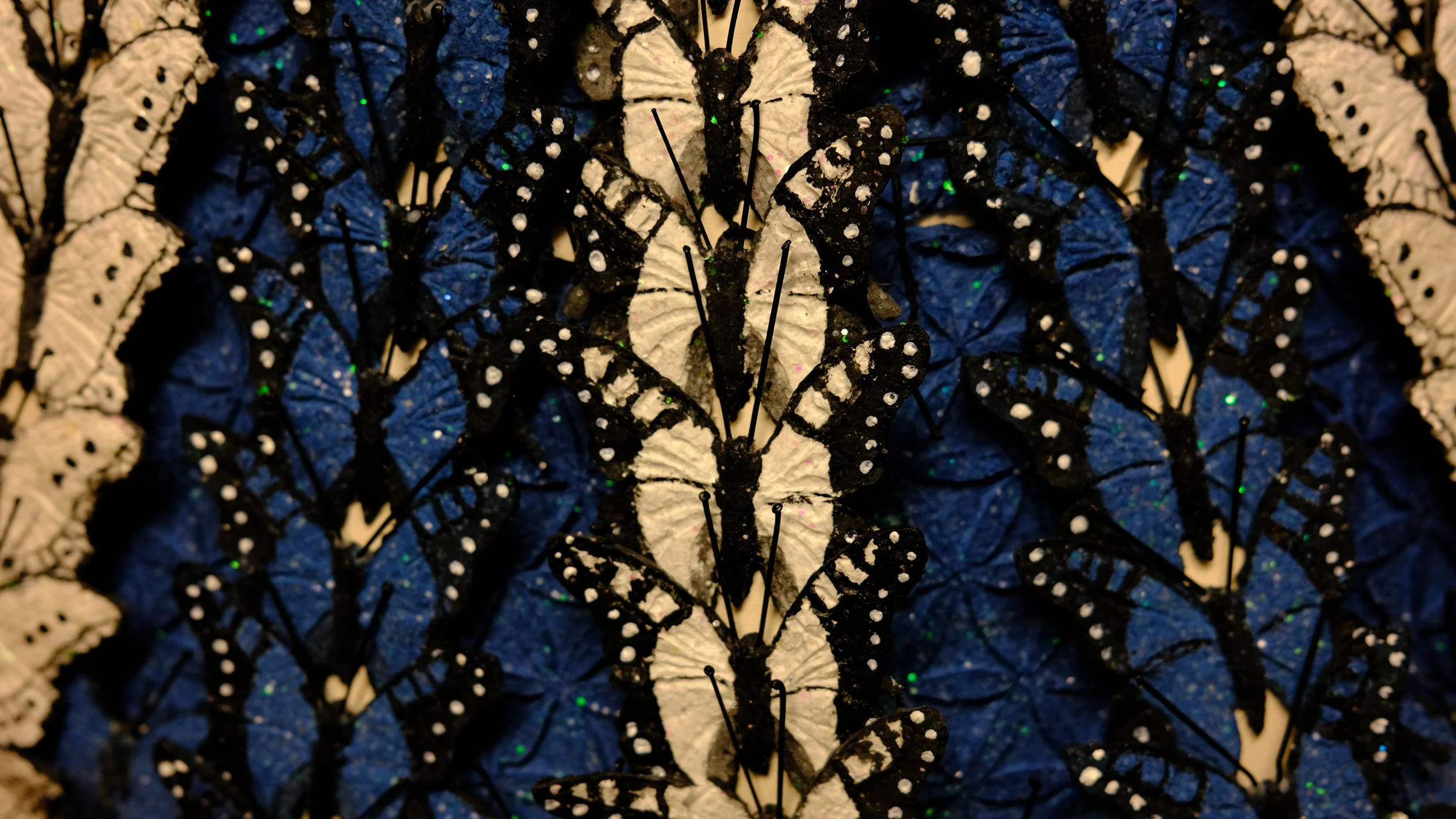 Voorpostel, Derek (AUS, Tasmania), Butterfly