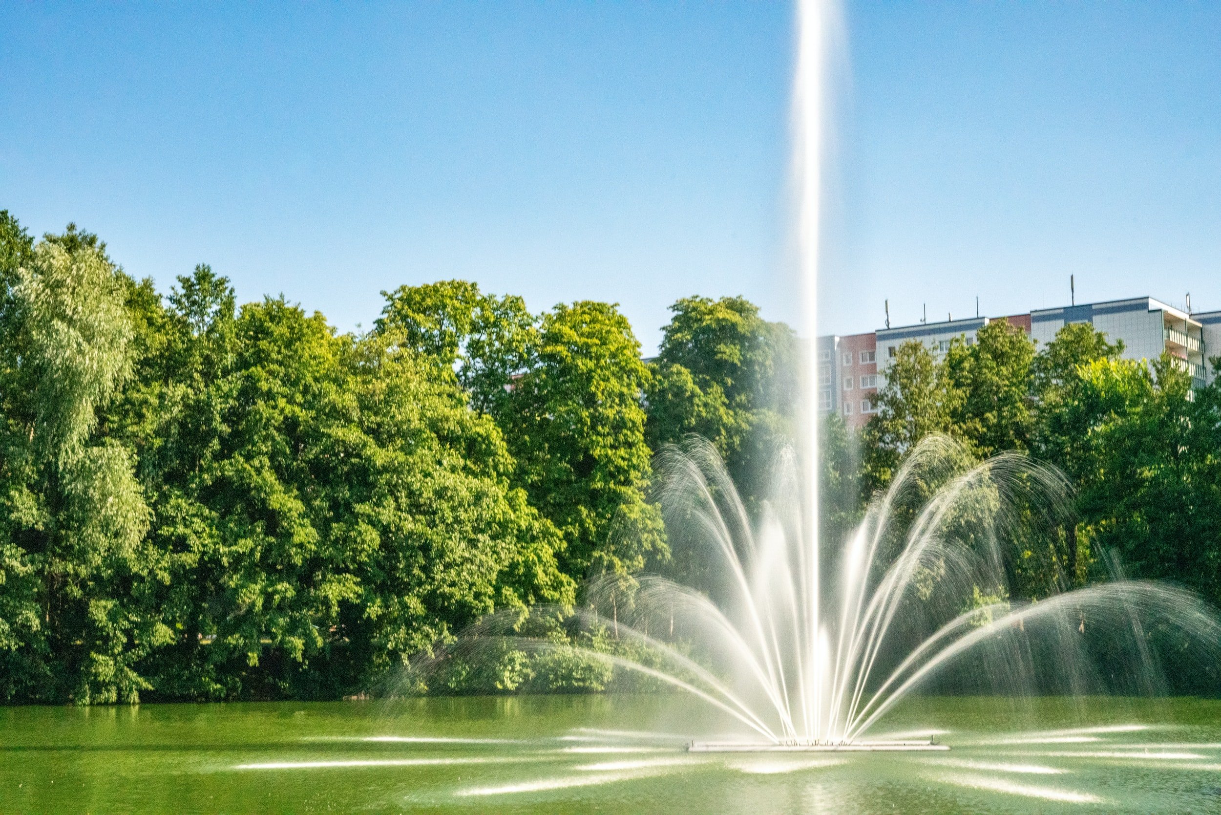 A Fountain of Life
