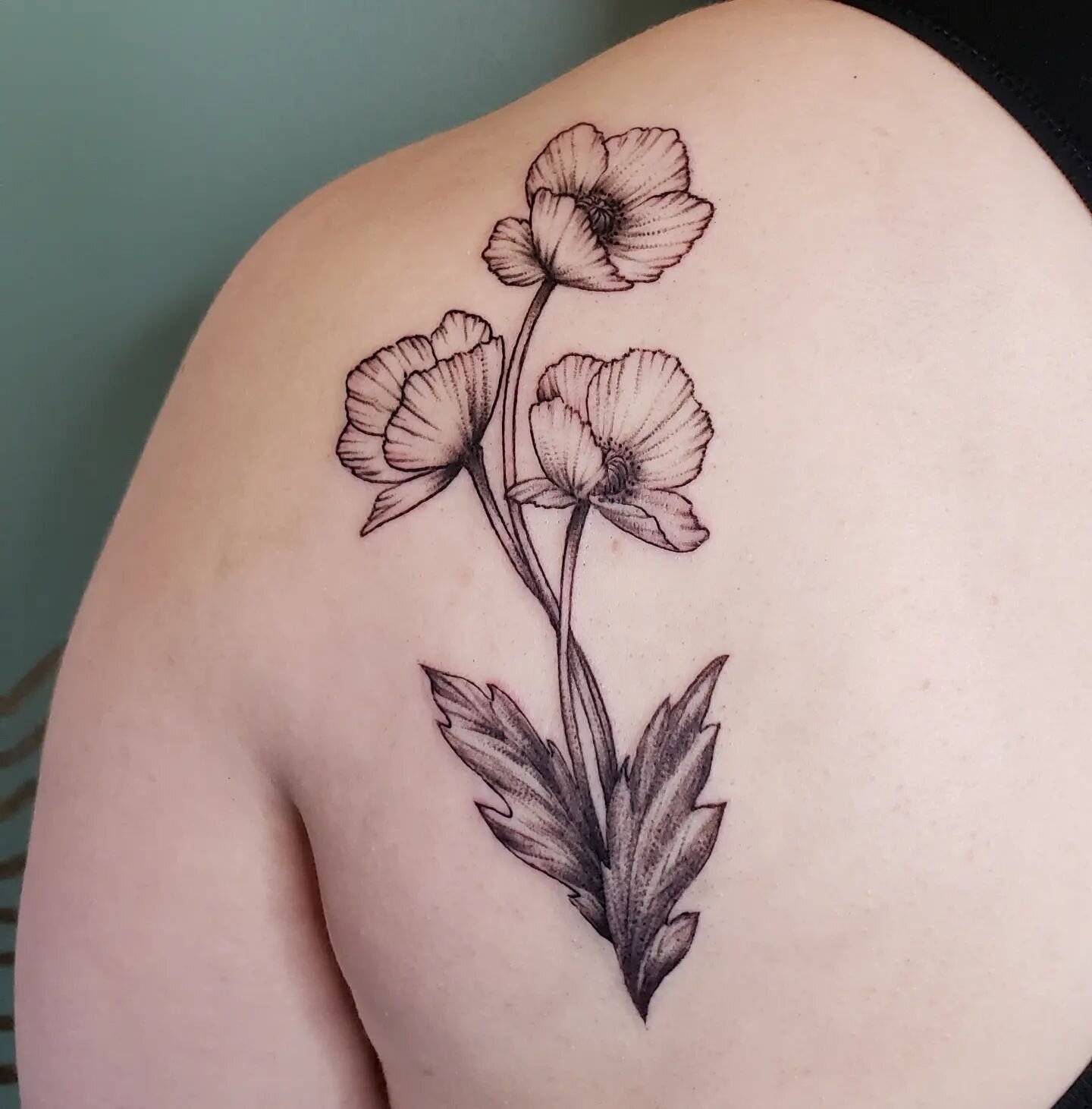 Custom Poppies, for Sarah 🖤
.
.
I&rsquo;m at @jadeanddaggertattoo just off 17th Ave. Email spinster.tattoo@gmail.com with your tattoo hopes &amp; dreams ♡
.
.
.
.
.
.
.
#PoppyTattoo #poppies #Tattoo&nbsp; #IllustrativeTattoo #CustomTattoo&nbsp; #Bla