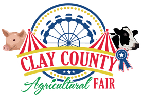 logo(5).png