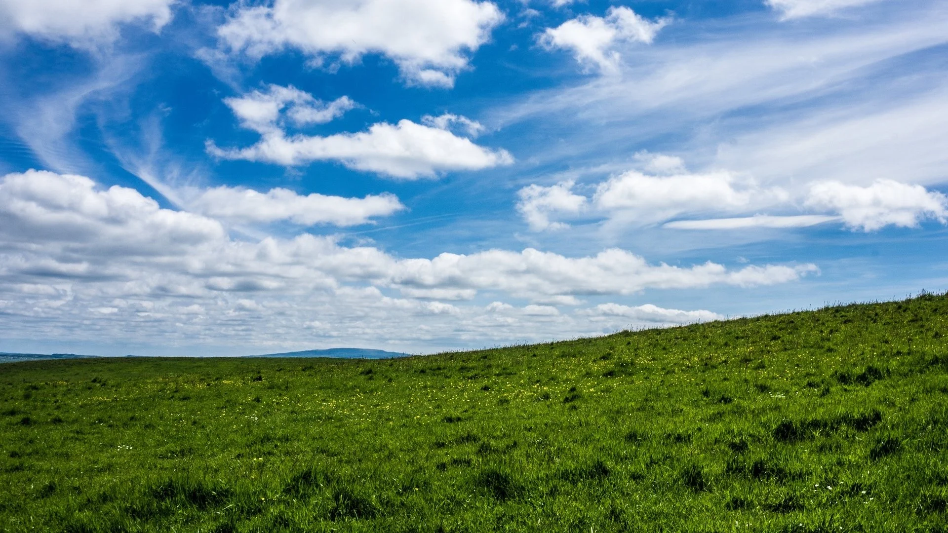 Green meadow under a blue sky with scattered clouds.