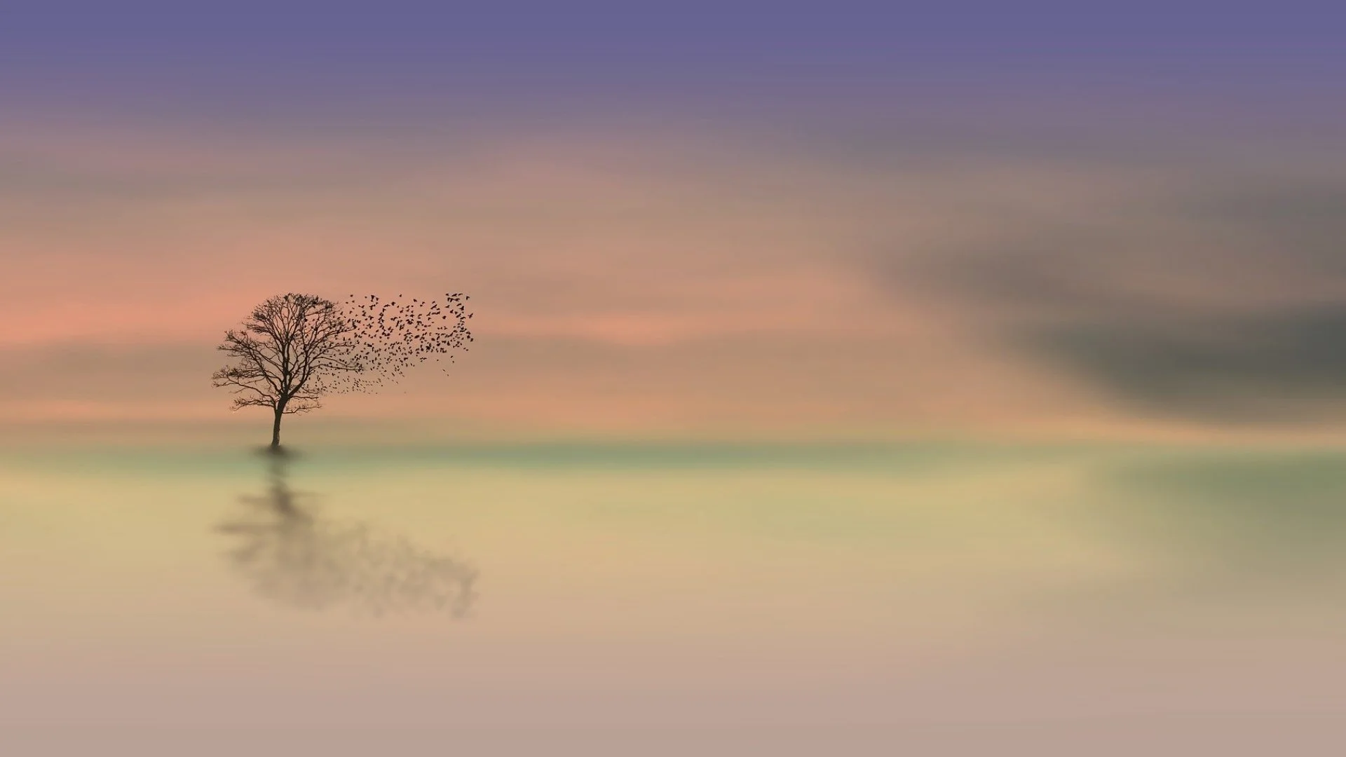 Lone tree in calm water with birds flying and pastel sunset sky.