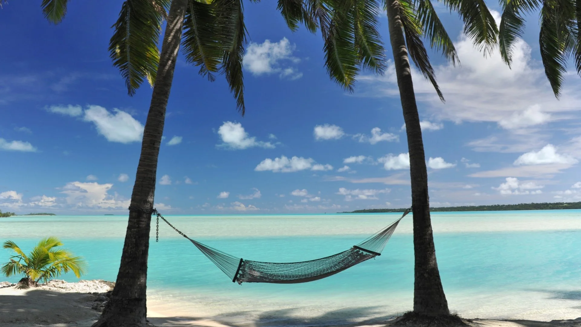 Tropical beach scene with palm trees, a hammock, and turquoise ocean under a blue sky with clouds.
