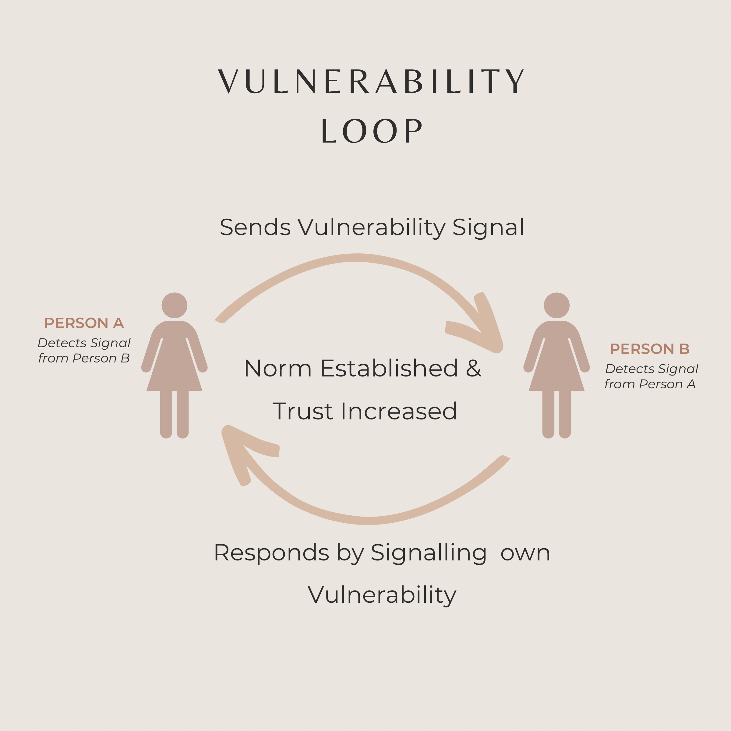 Illustration of the vulnerability loop by Jeff Polzer. The image shows two people standing facing each other, with arrows pointing from one person to the other, indicating the exchange of vulnerability. “Vulnerability Loop" is written at the top