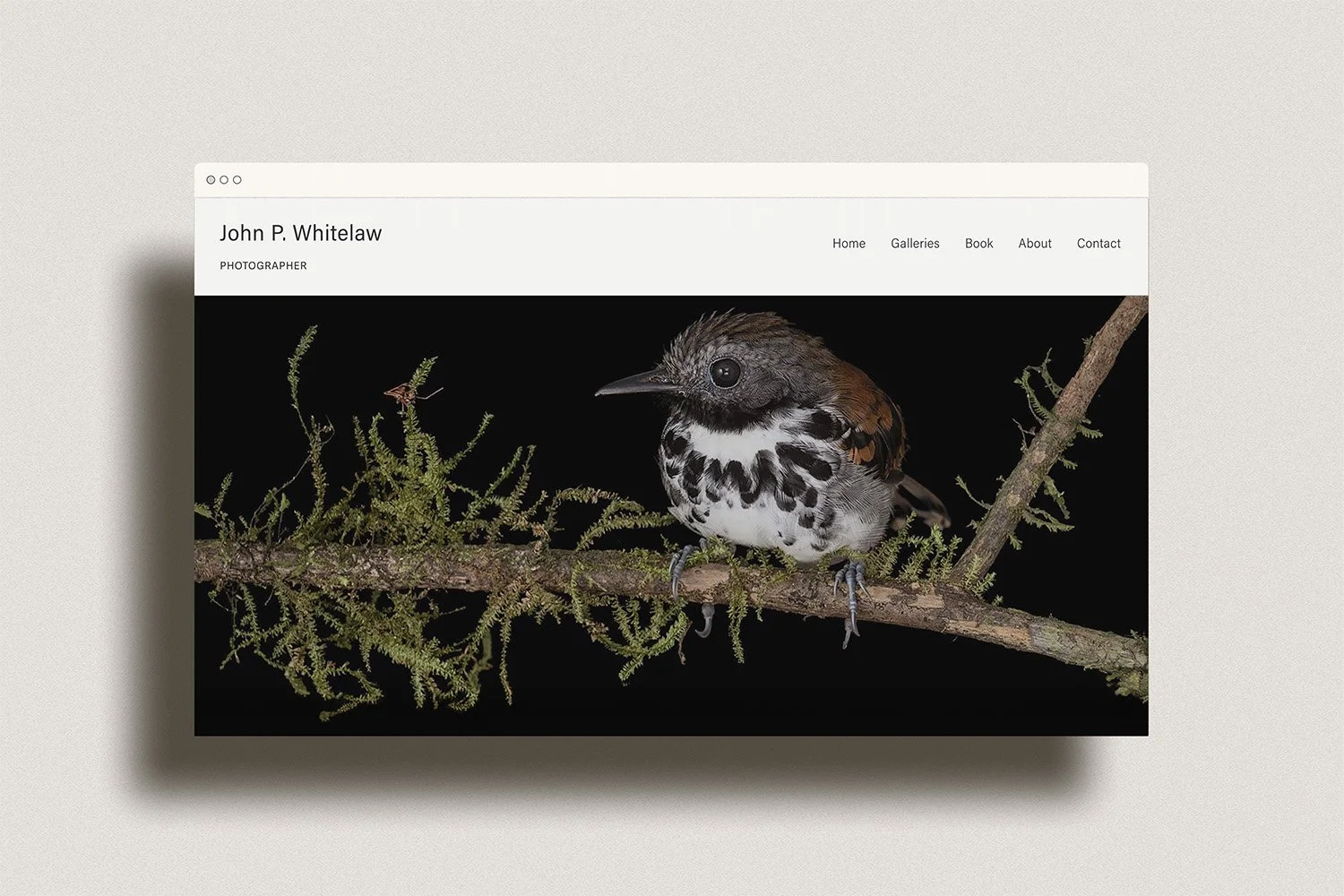 John Whitelaw(creatives)