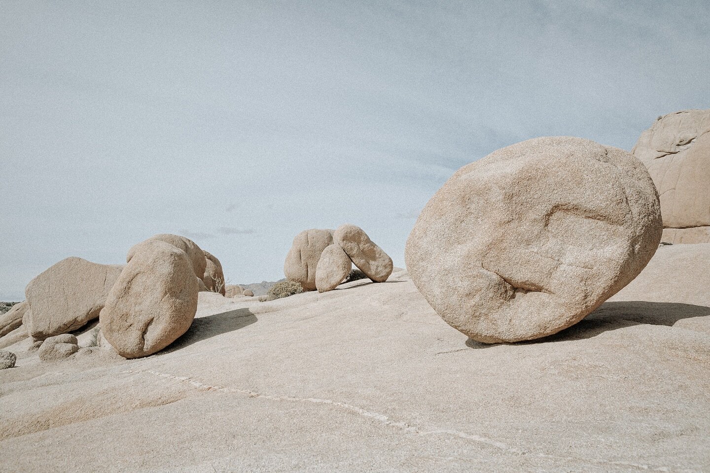 Inspiration ☀️

📷 @audreythizy 
.
.
.
.
.

#webdesign #webdesigner #moodoftheday #joshuatree #joshuatreenationalpark #webinspiration #webinspirations #socal #squarespacefrance #squarespacewebdesign #squarespacedesigner #shopifywebdesign #shopifypart