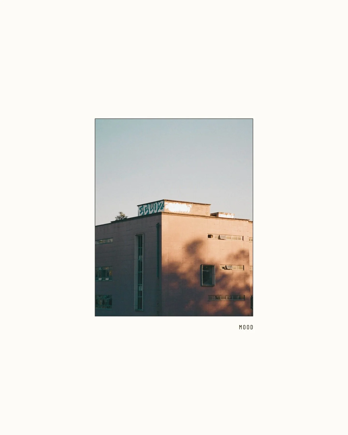 〰️ Mood 〰️

#moodboardaesthetic #mood #designer #squarespacedesigner #squarespacewebdesign #photographerwebsite #moodboard