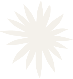 Silhouette of a stylized white flower with multiple pointed petals against a black background.