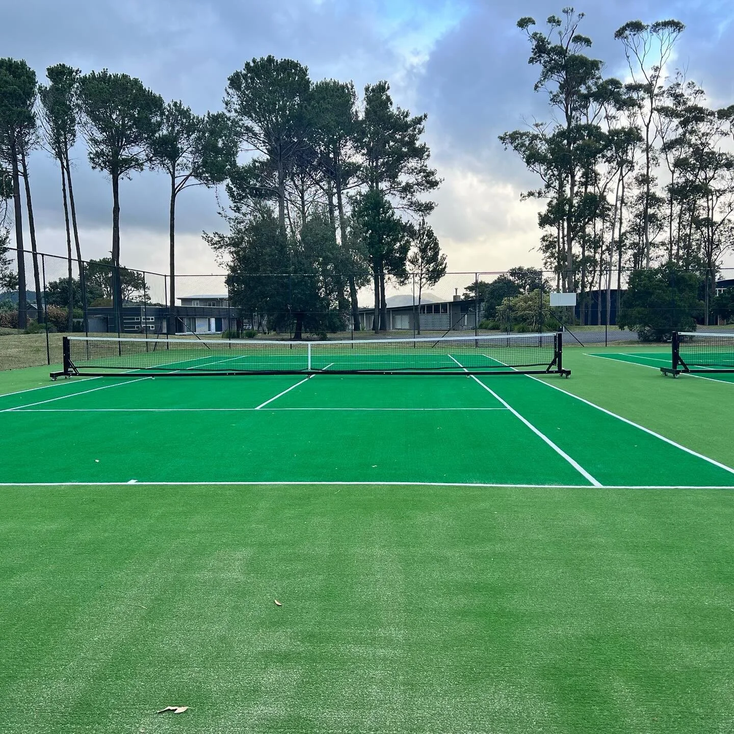 A bit of community love as we all chipped in to resurface our lil tennis courts in the Pines. Just in time for summer. Noice, very noice. 🎾 🎾 🎾