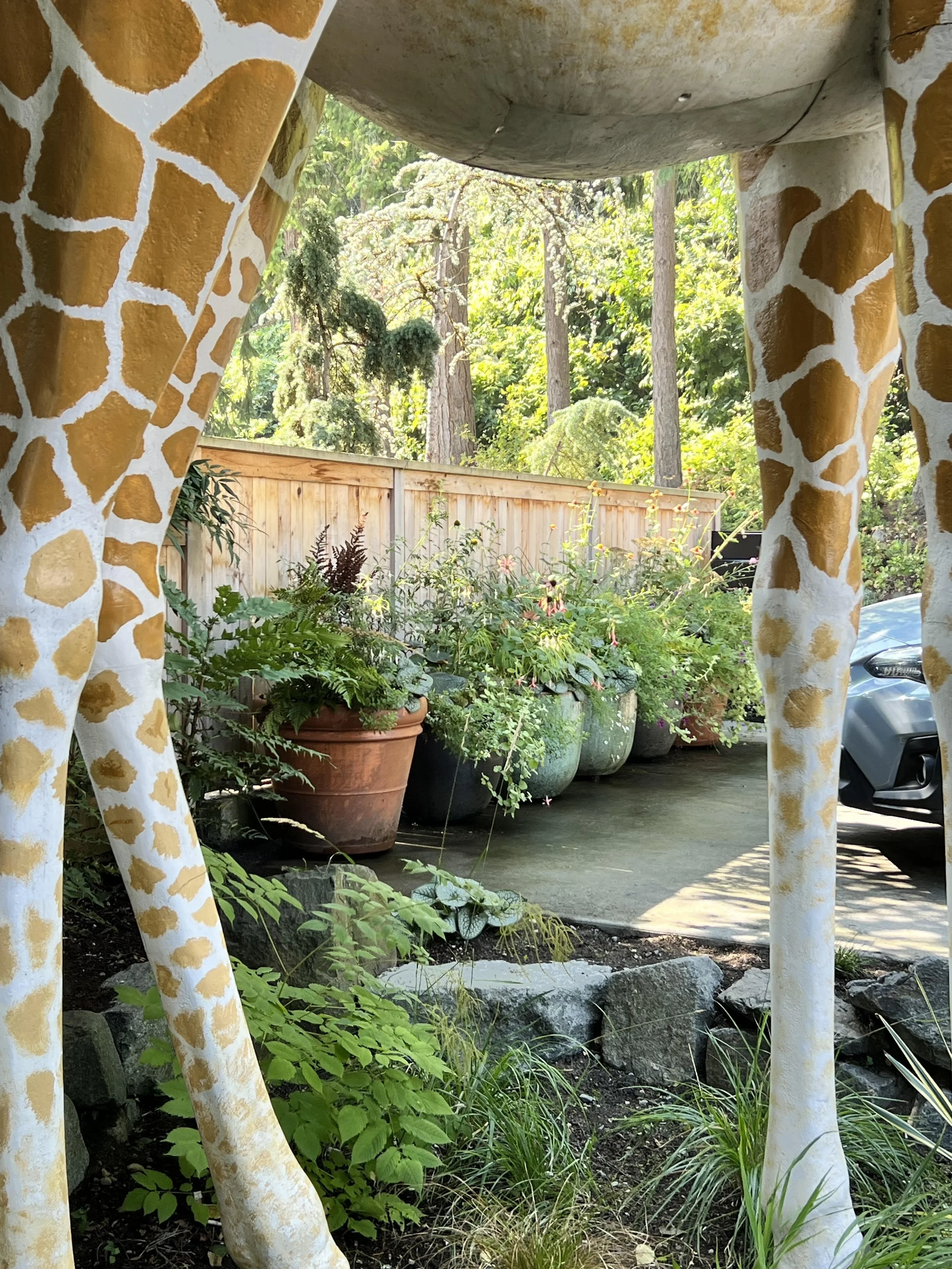 burke gilman trail containers