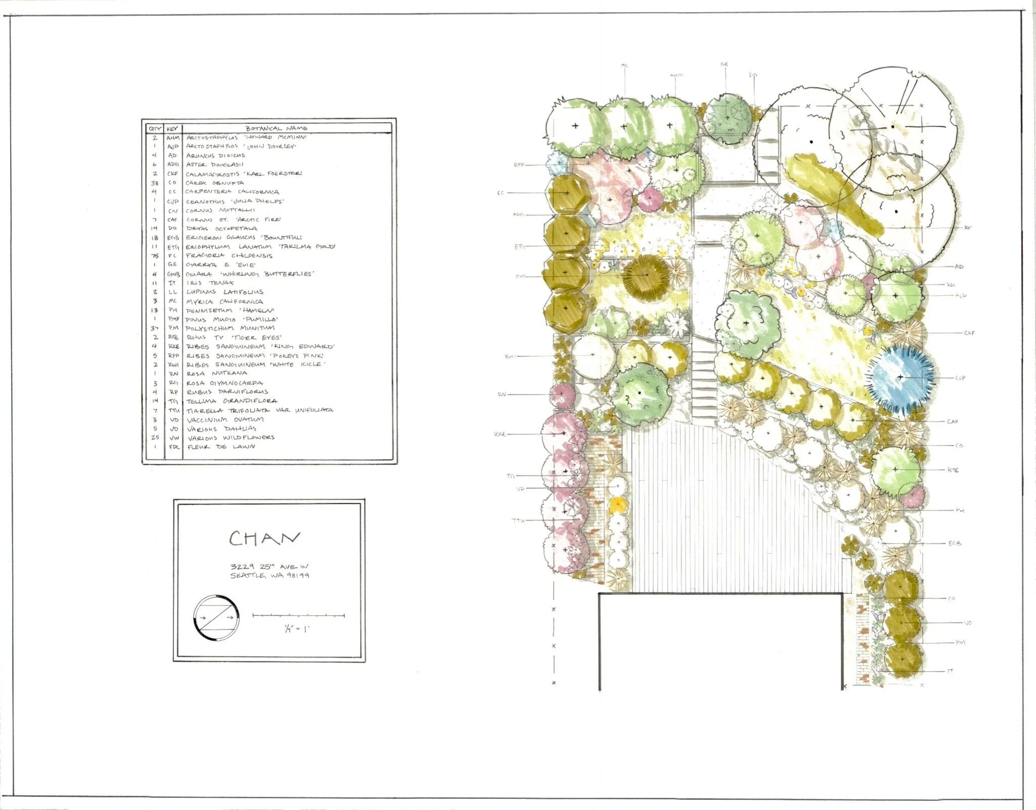 magnolia native plant terrace