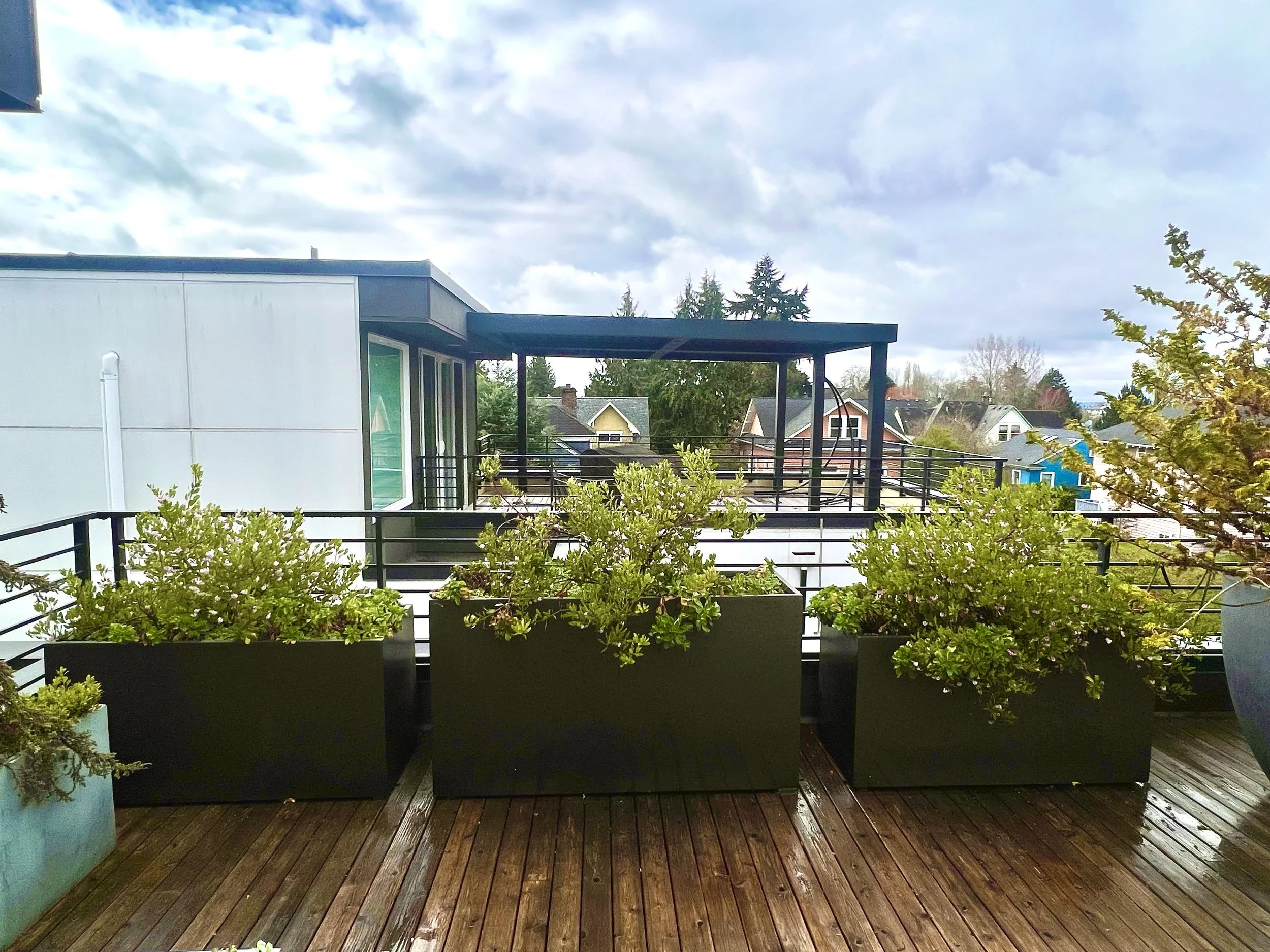 native rooftop patio