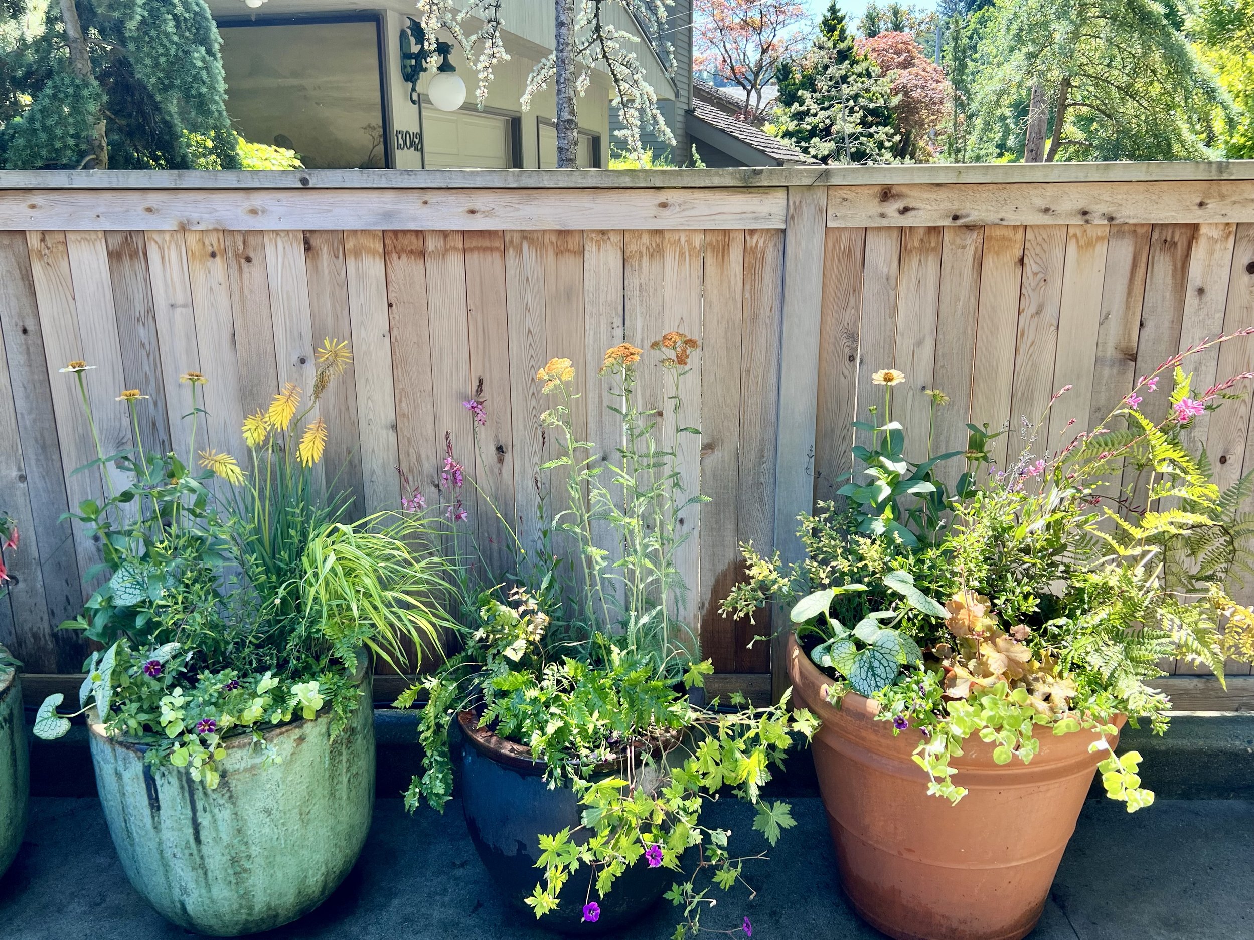 burke gilman trail containers