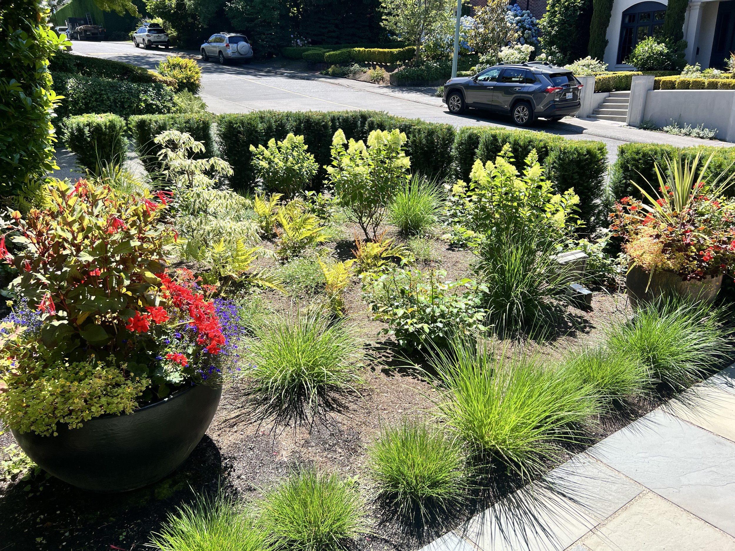 broadmoor front garden update