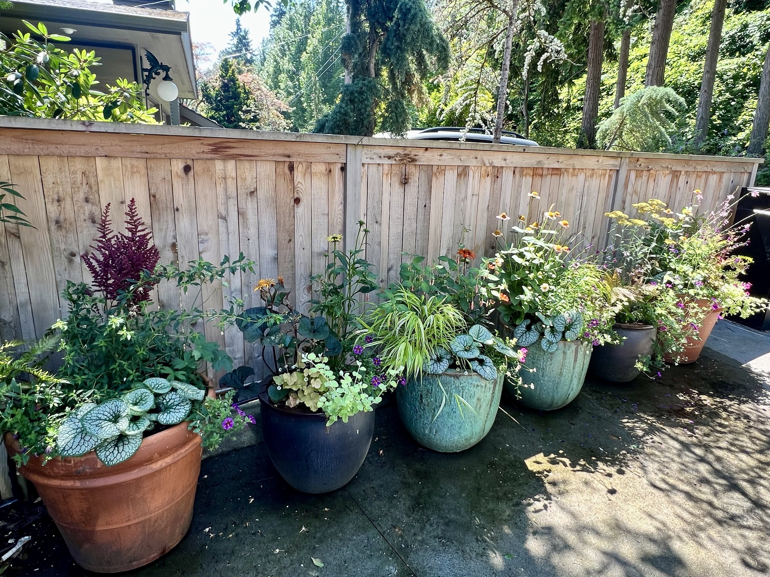 burke gilman trail containers