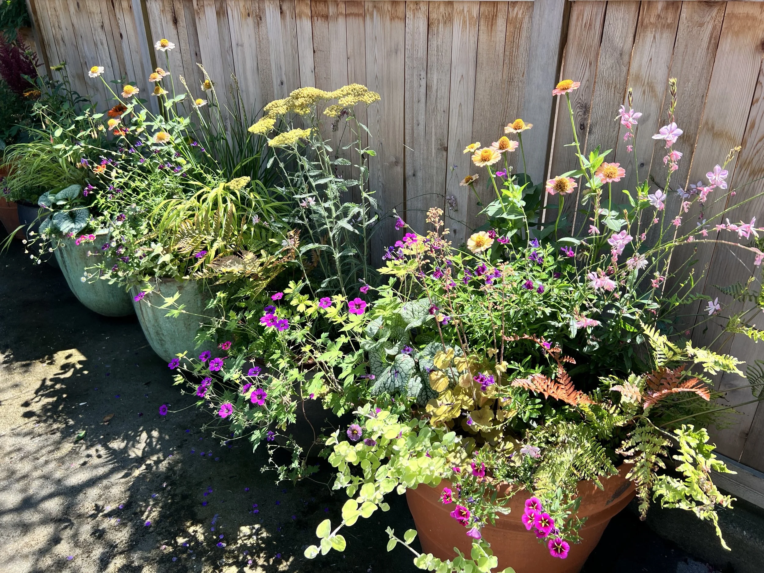 burke gilman trail containers