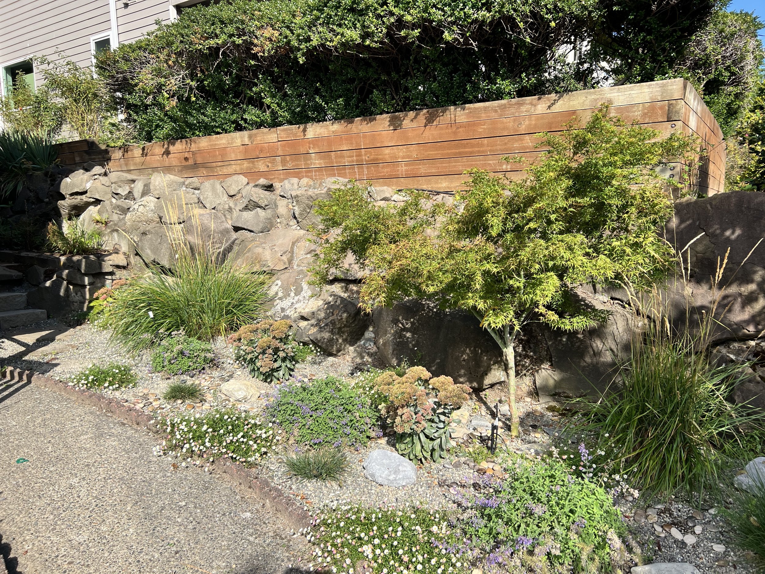 sun loving in magnolia