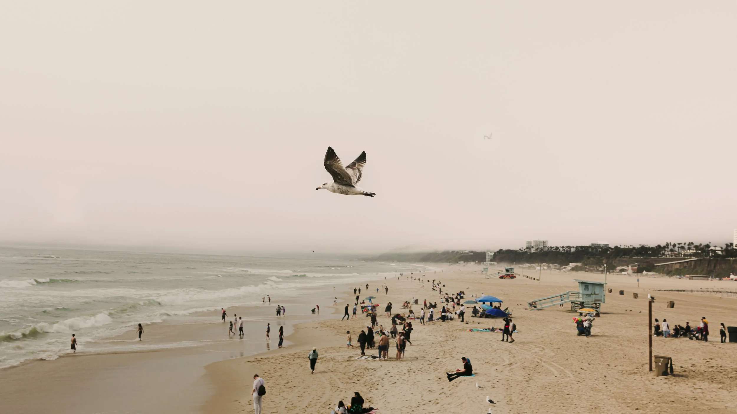 2023.03.11 santa monica pier-07.jpg