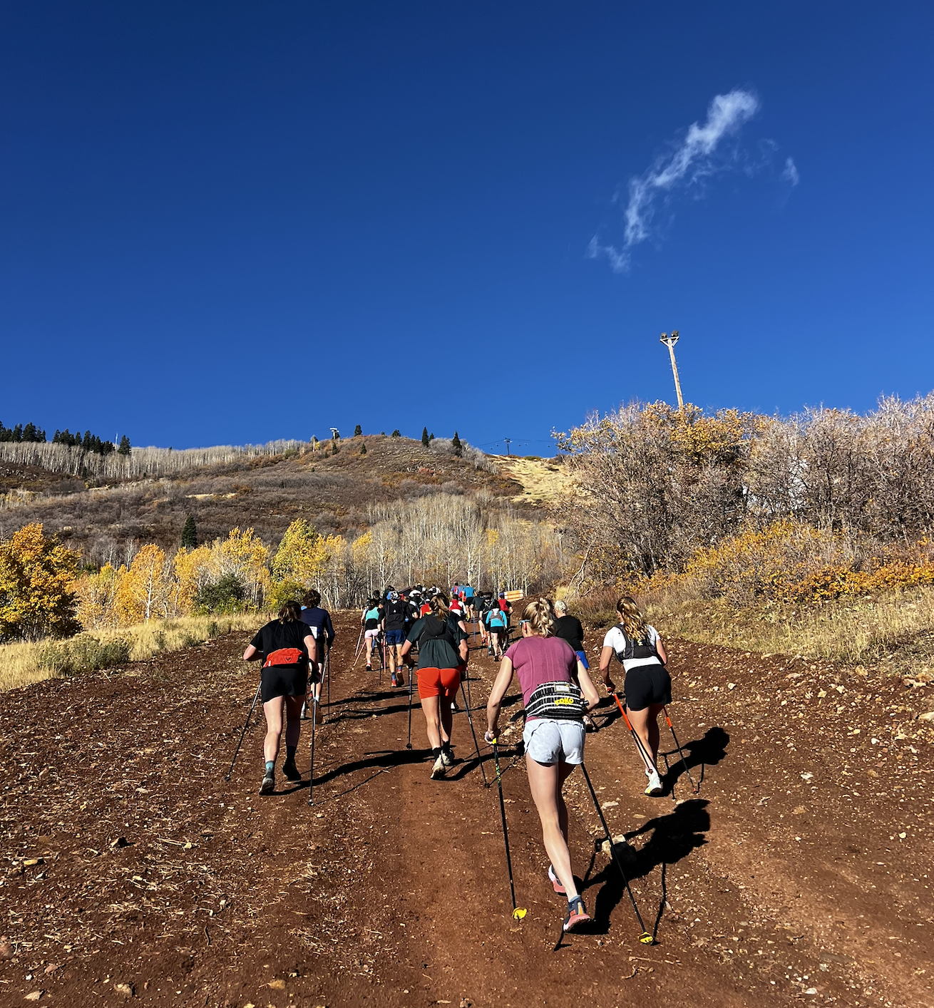 Screenshot 2026-01-30 at 10.57.50.png