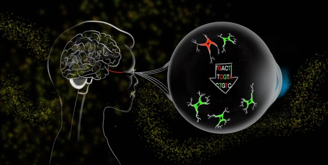 Gliotherapeutics. Credit: Emily Moskal/Stanford Medicine