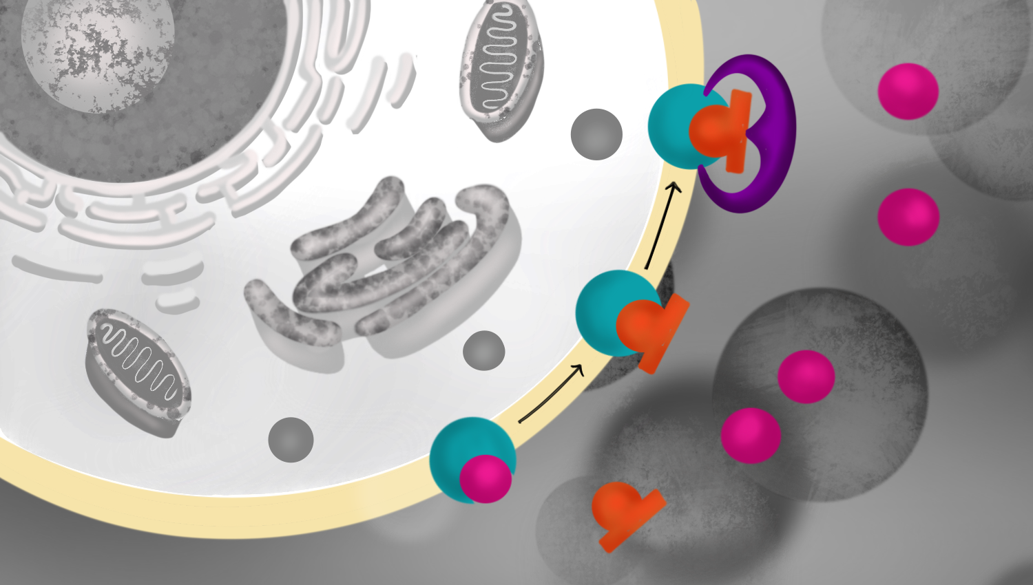 A newly discovered compound caps naloxone onto the opioid receptor, supercharging its ability to reverse opioid overdose. Credit: Emily Moskal/Stanford Medicine