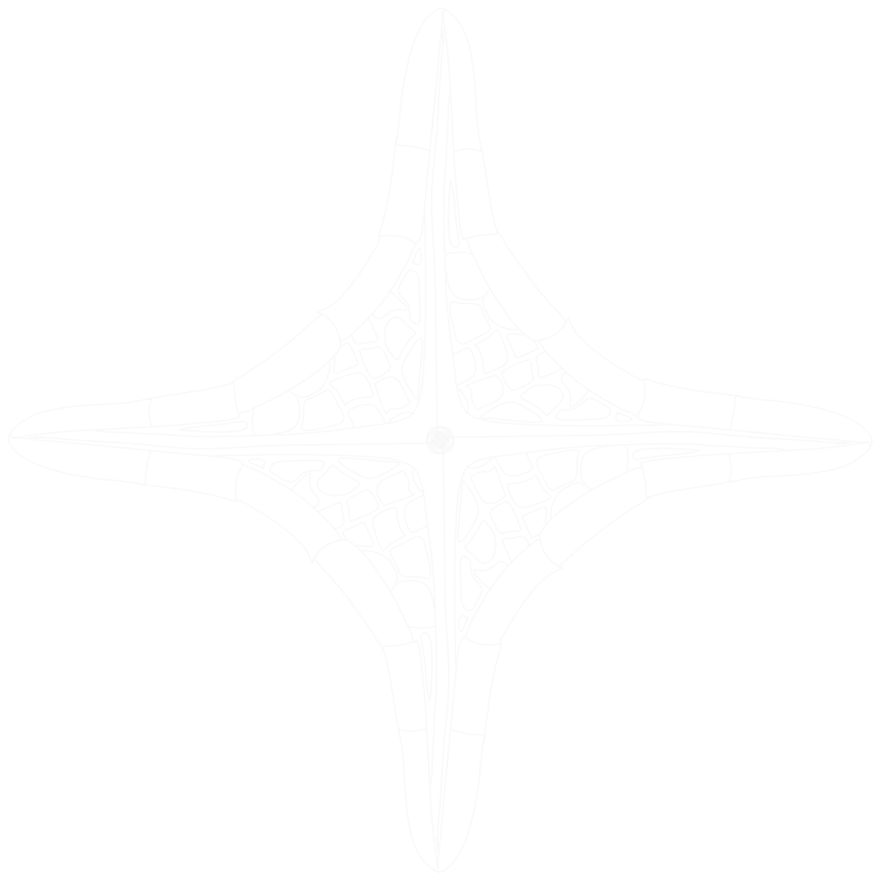 Line art drawing of a star-shaped structure with intricate internal patterns on a black background.