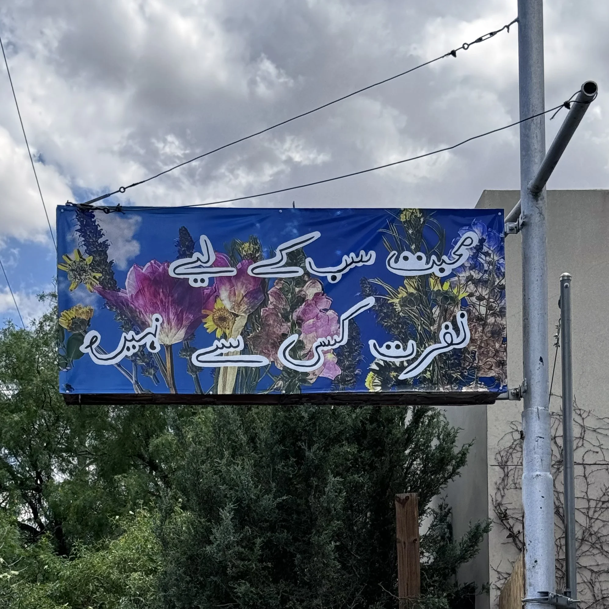 Post 5 Image 1.jpg