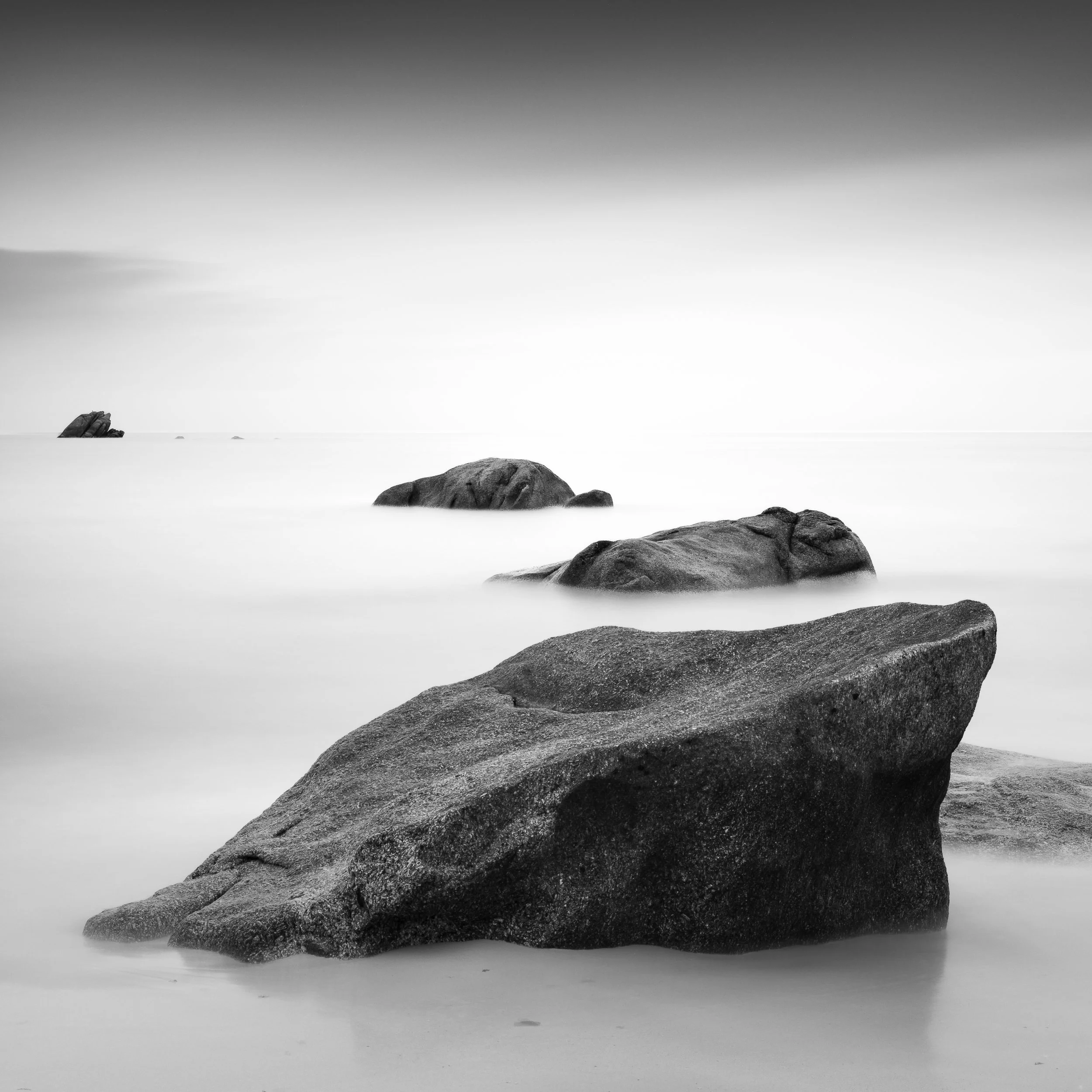 _U9A4702.jpg